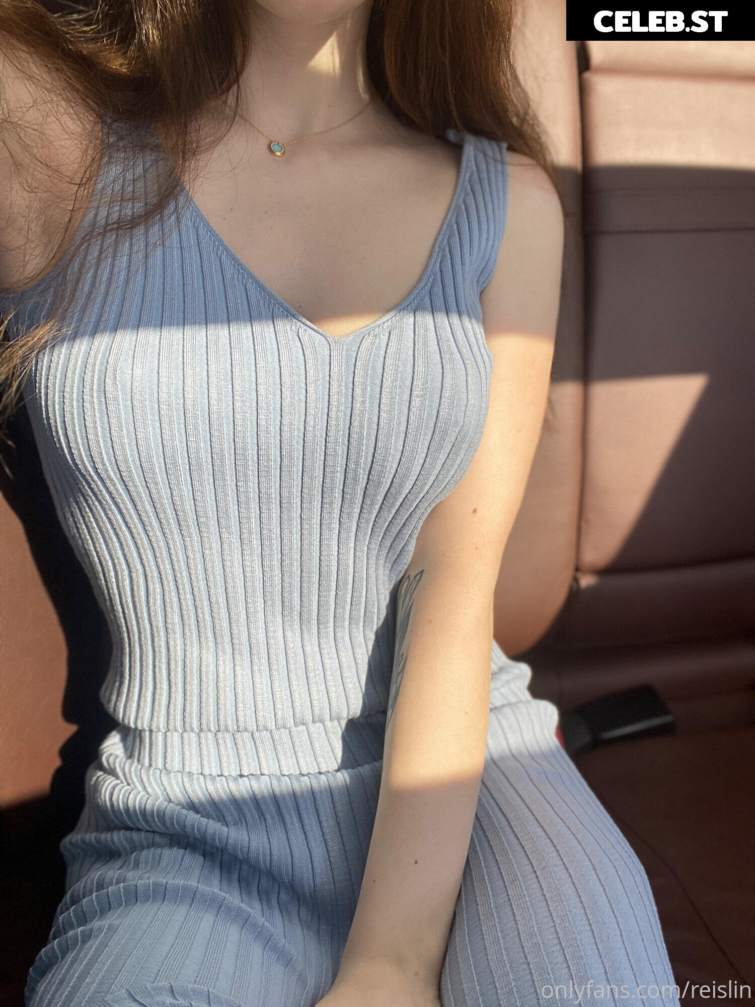 Reislin Image 603821