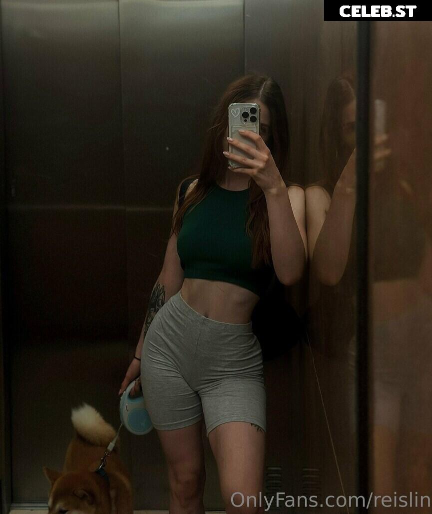 Reislin Image 601056