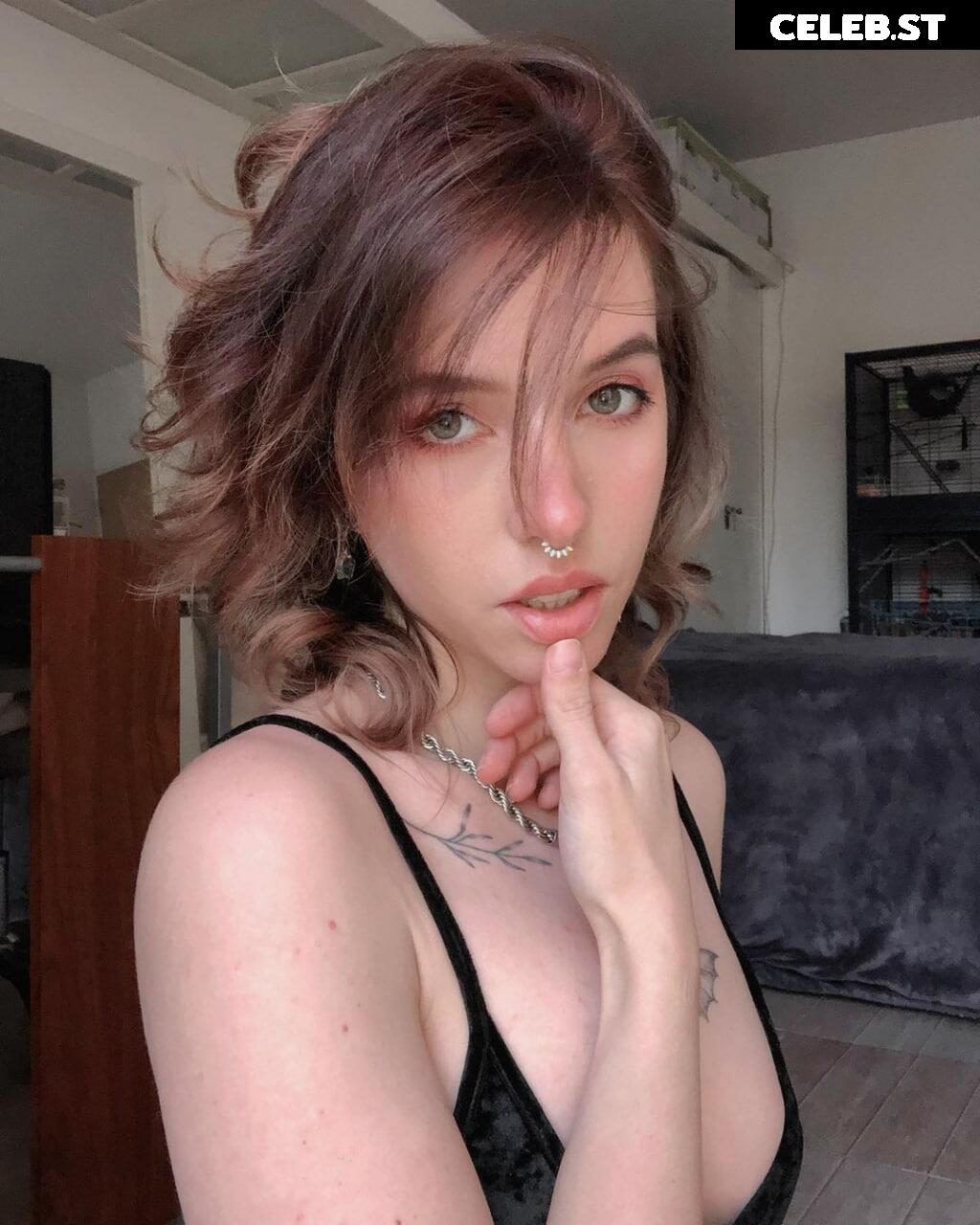 Xailurus Image 5198363