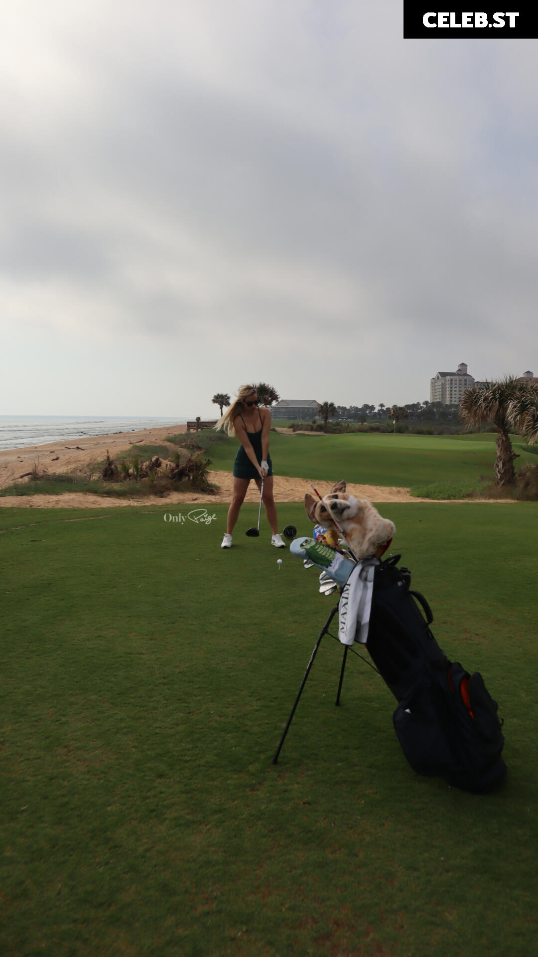 Paige Spiranac Image 514056
