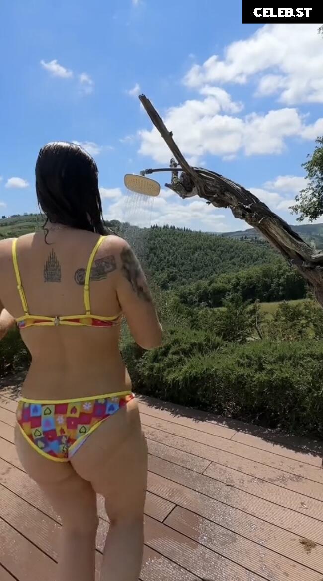 Sophodoph Image 512148