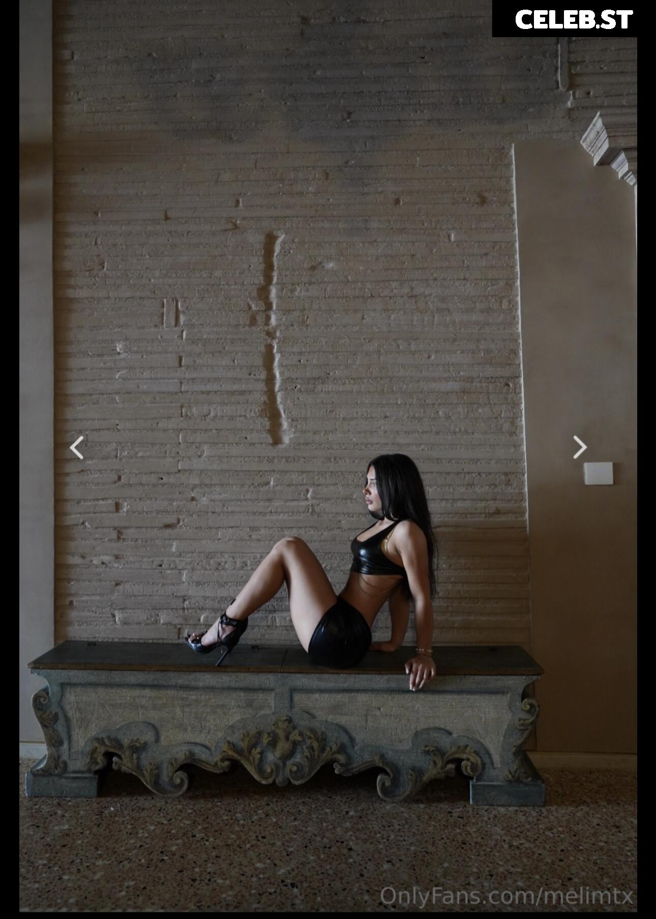 MelimTX Image 5123511