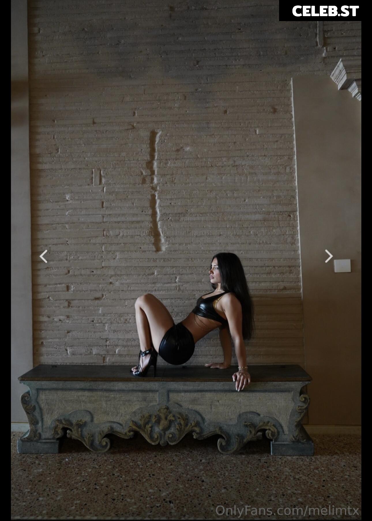 MelimTX Image 5123514