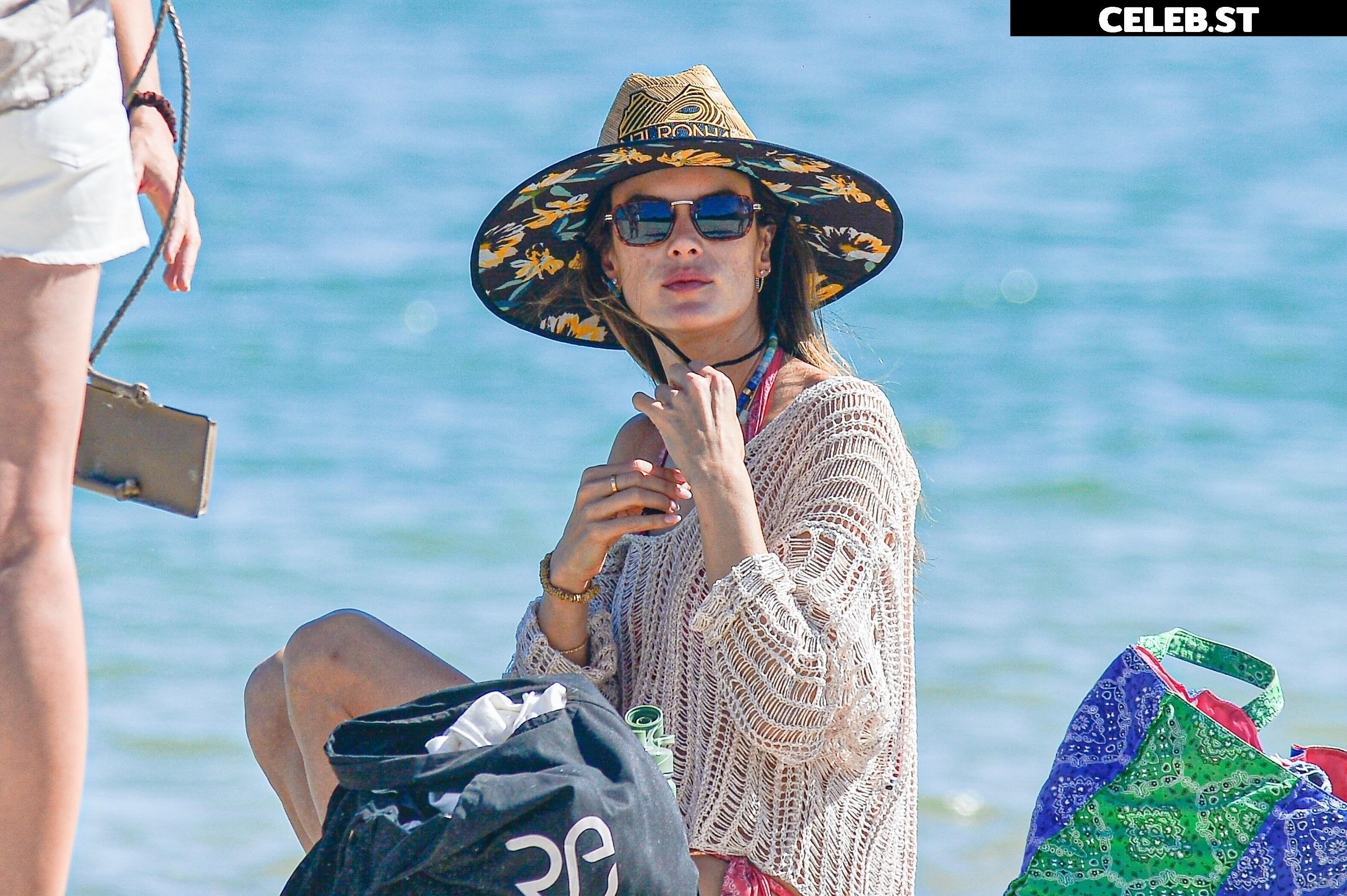 Alessandra Ambrosio Image 5102481