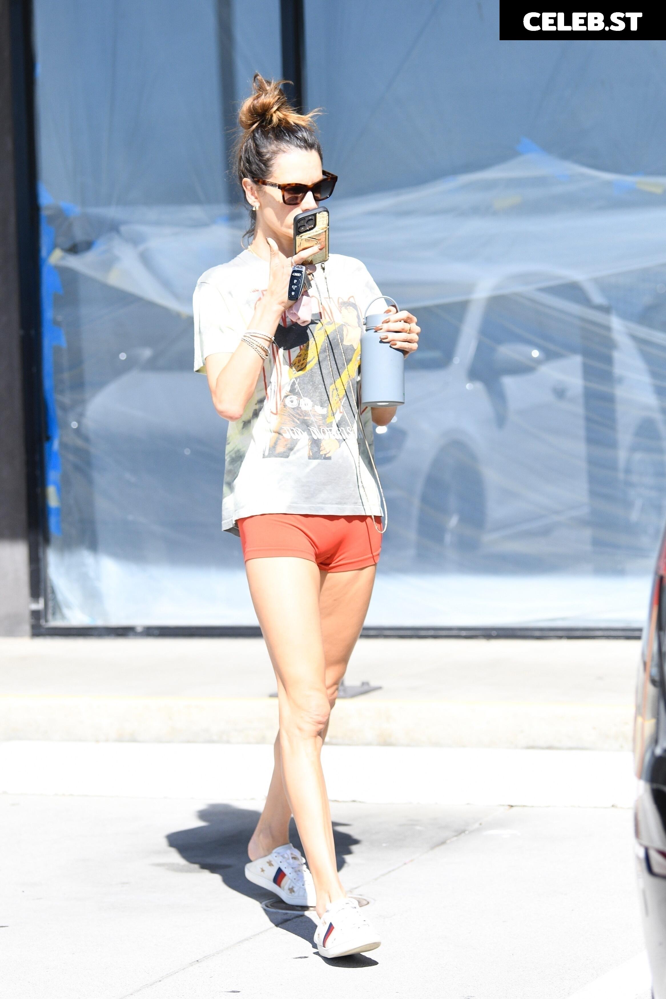 Alessandra Ambrosio Image 5102147