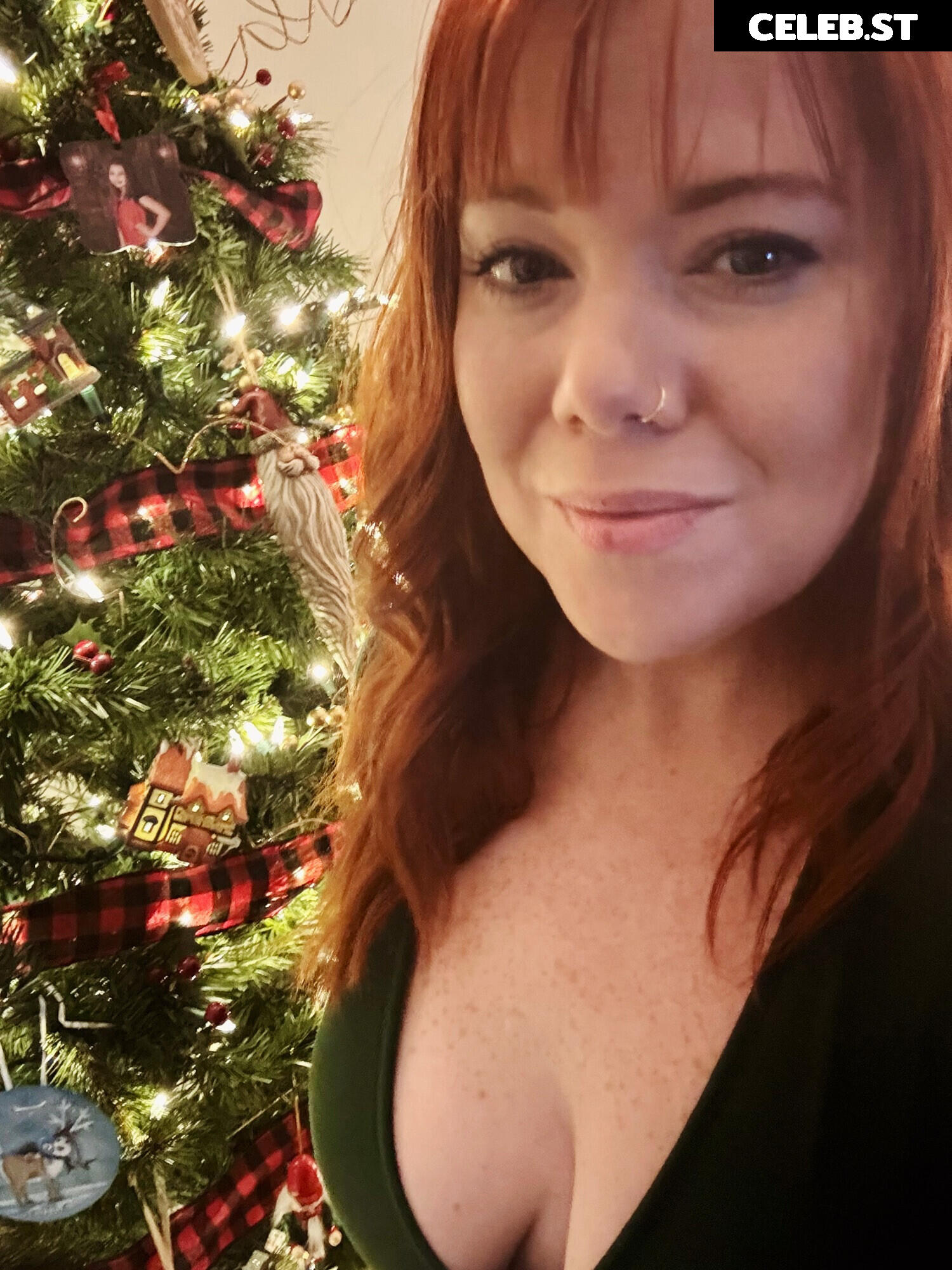 Naughtyexpastorswife / Carissaexplainsnothing Image 5299117