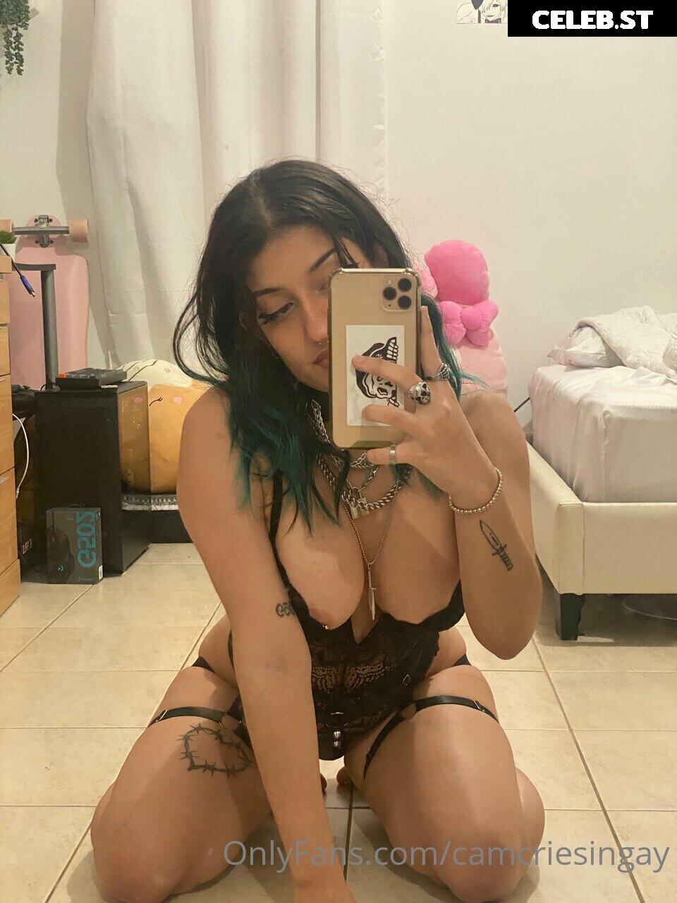 Camcriesincum / Camisjustvibing Image 5285008