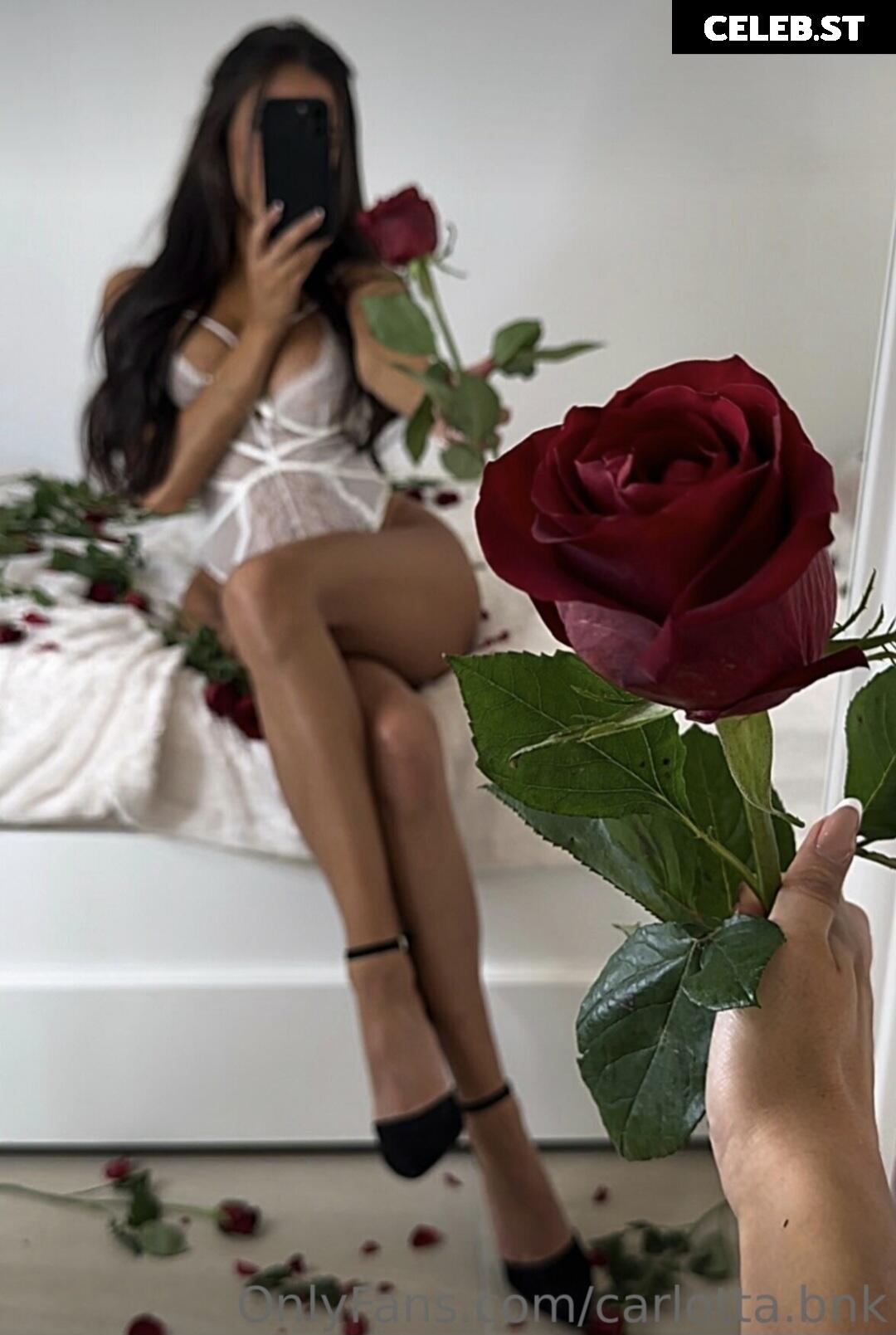 carlotta.bnk Image 527082