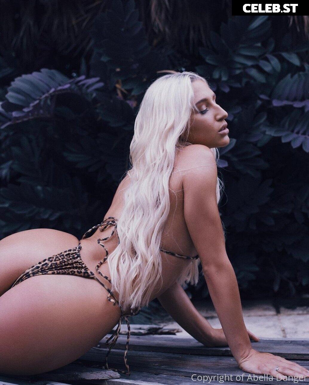 Abella Danger / abelladanger Image 5246309