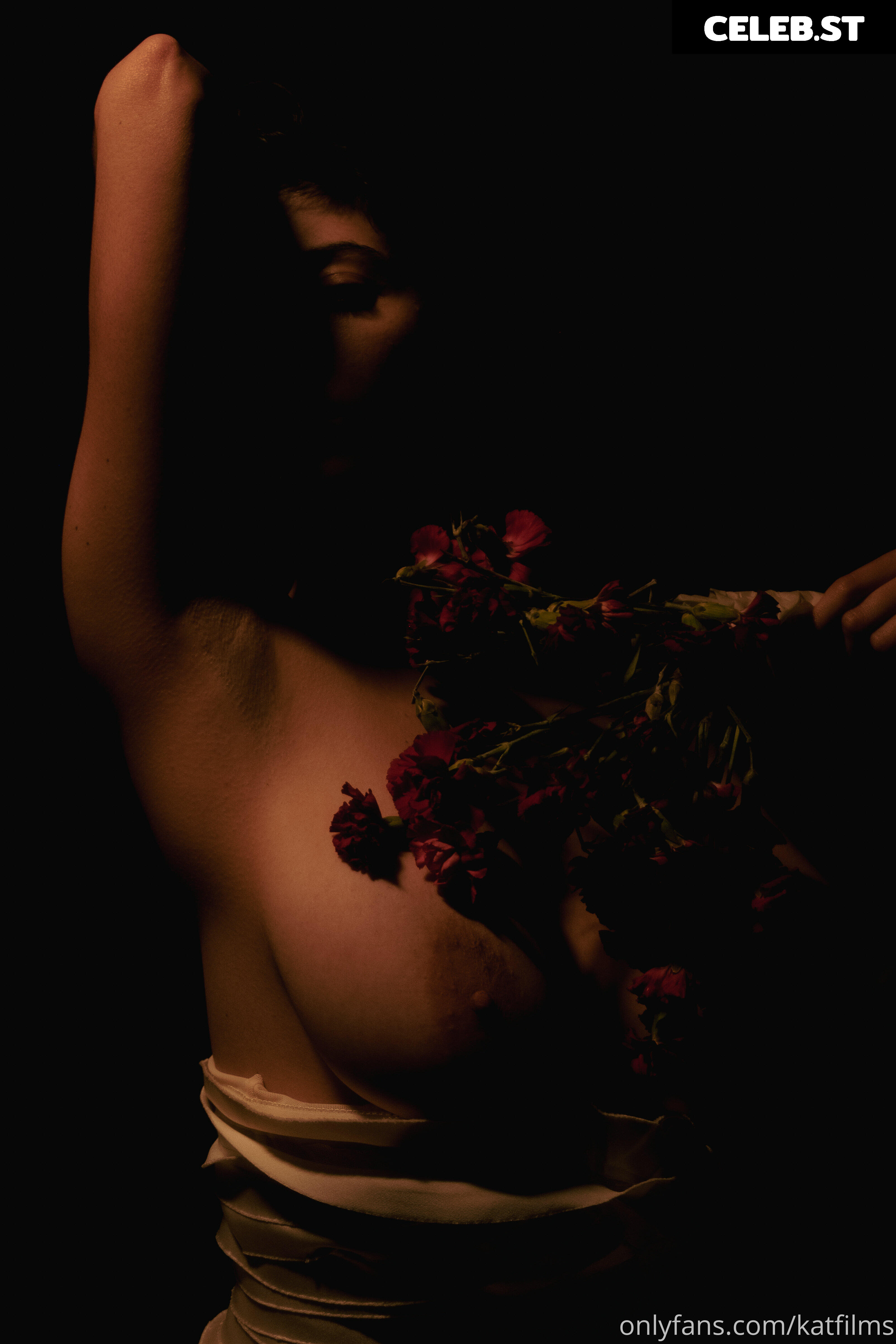 Kat Cabaret / Kat Dreams / Kat Streams / LeCabaret / Salacious Kitty Image 5203573