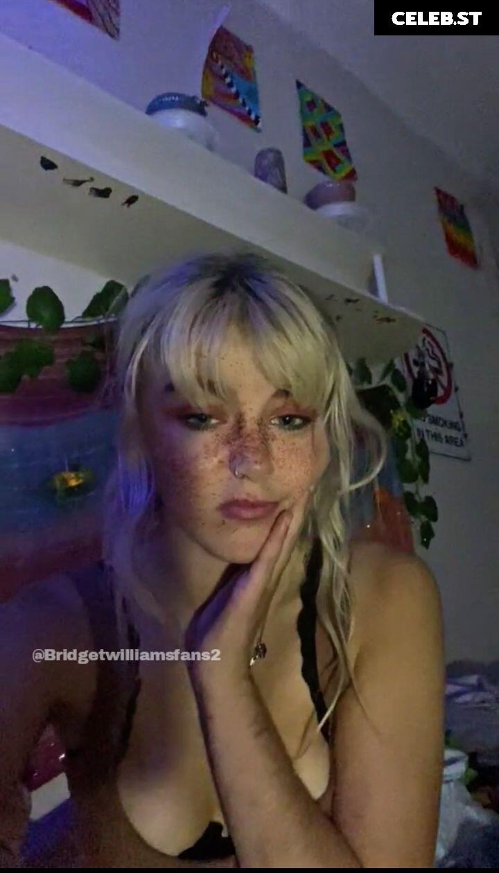 Bridget Williams/BridgetKWilliams_ Image 5393750