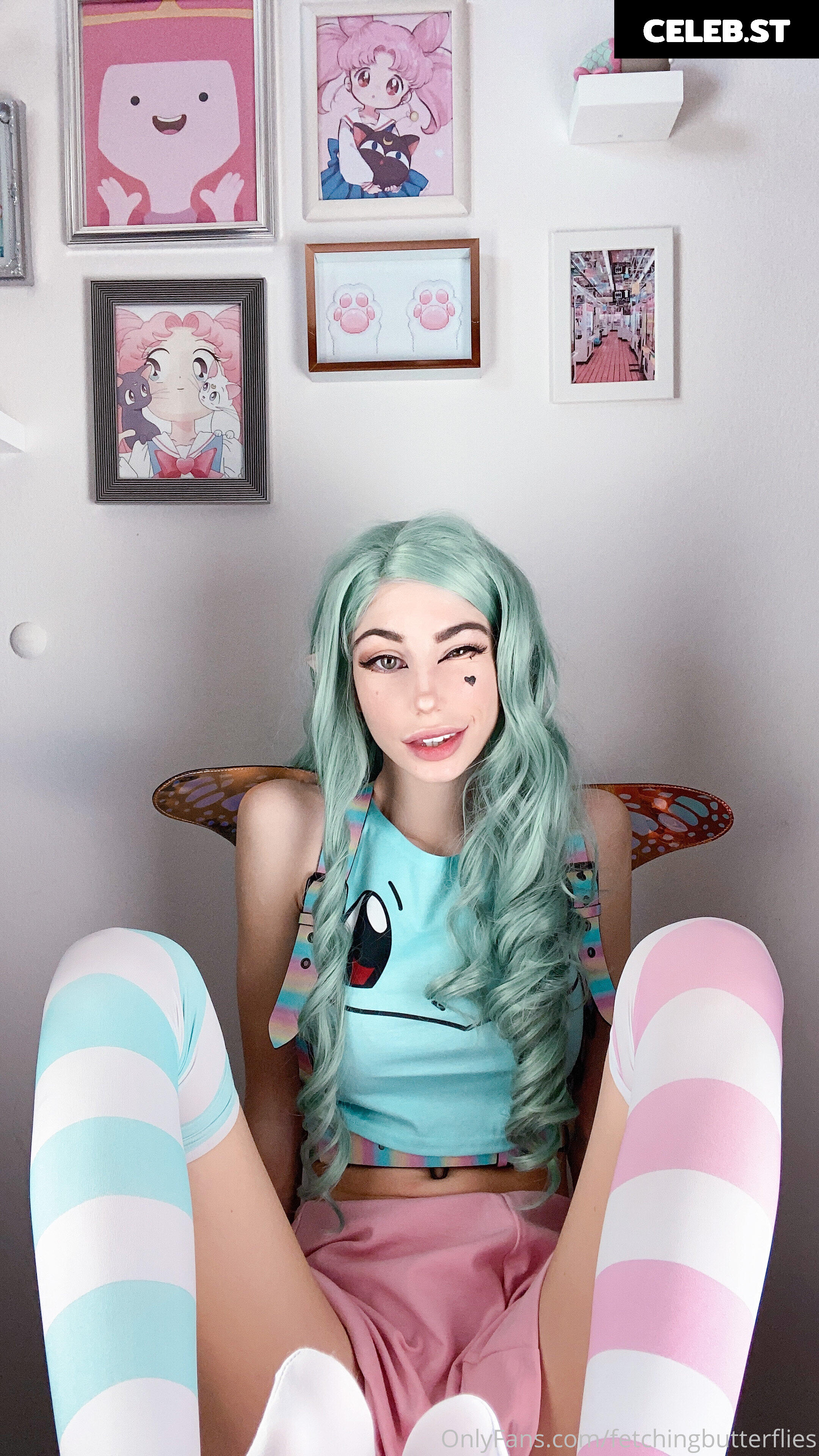 Fetching_butterflies Image 5367863