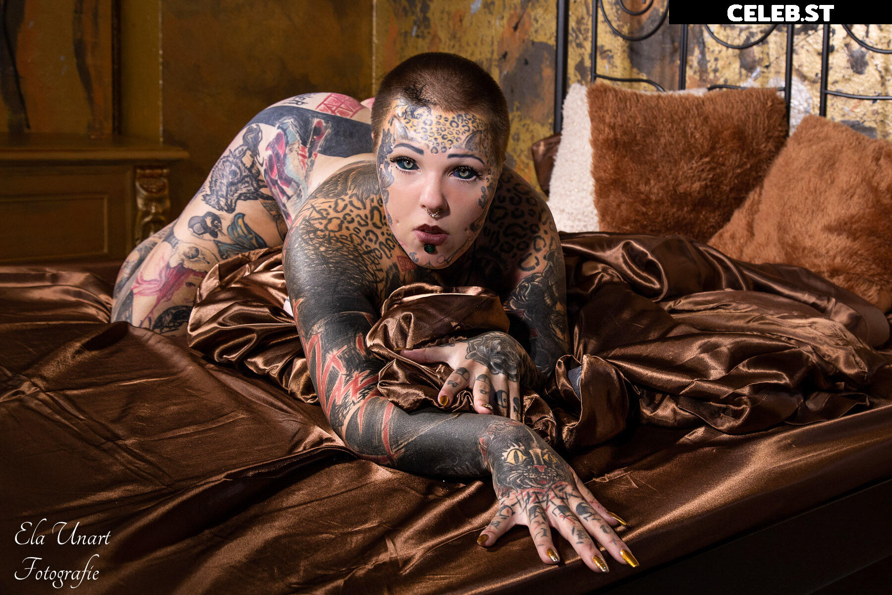 YukiCat | Felis Silvestris| Sick_fucks_69 Image 5354040