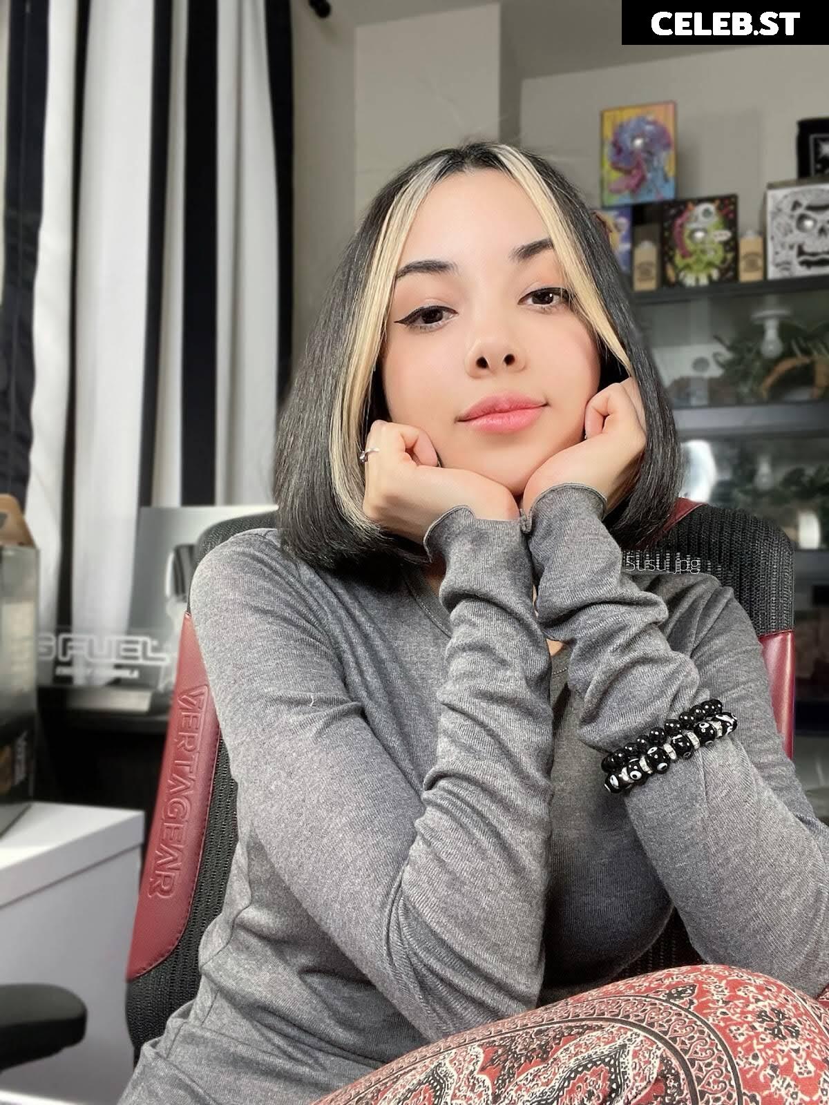 Swimsuit Succubus / susu_jpg Image 5350177