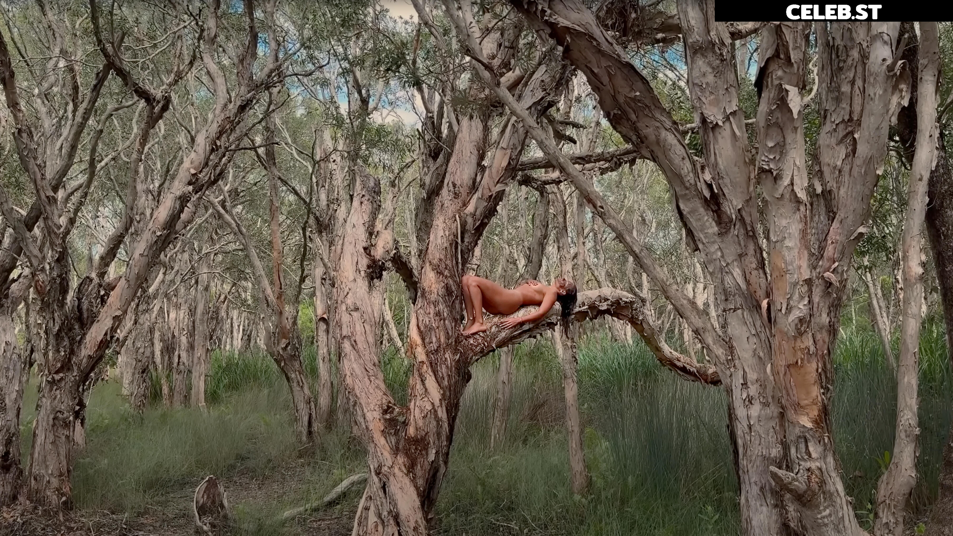 Sophia Chiara Image 533286