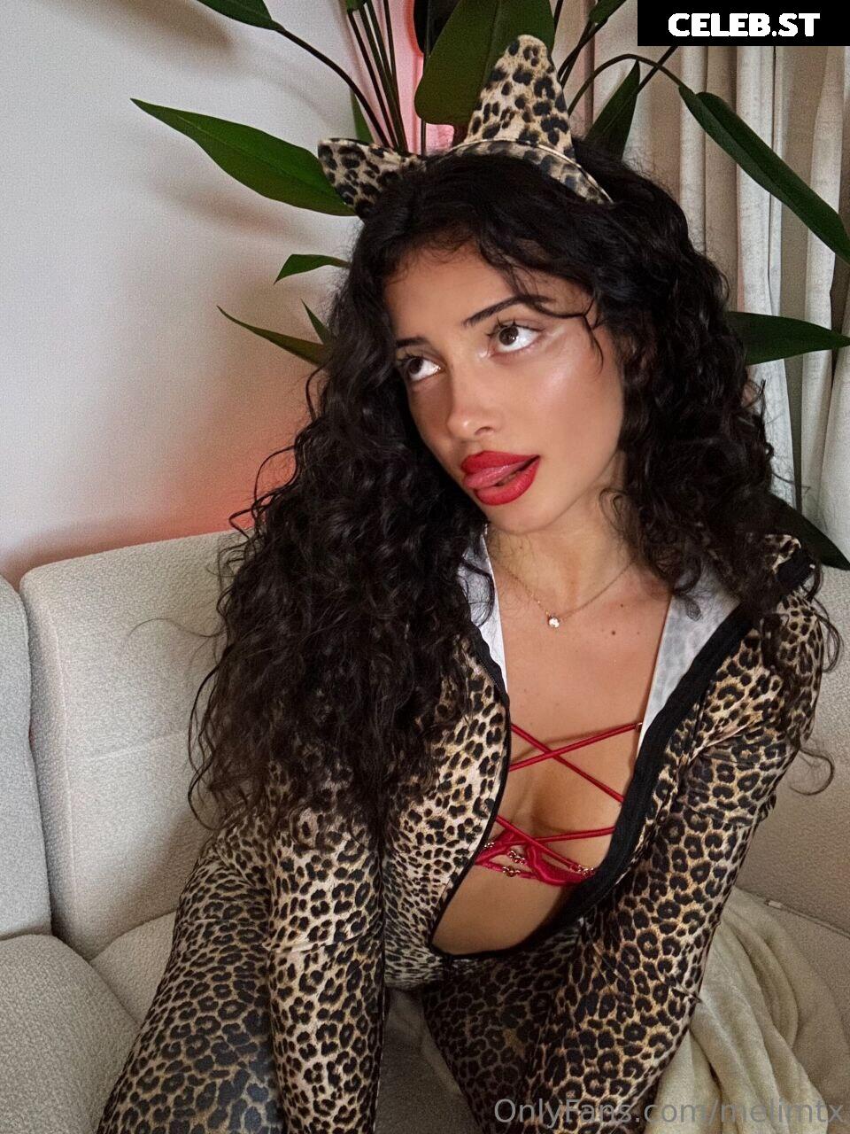 MelimTX Image 5333675