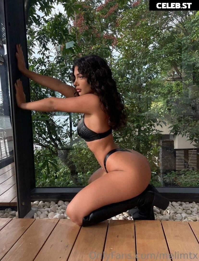 MelimTX Image 5320621