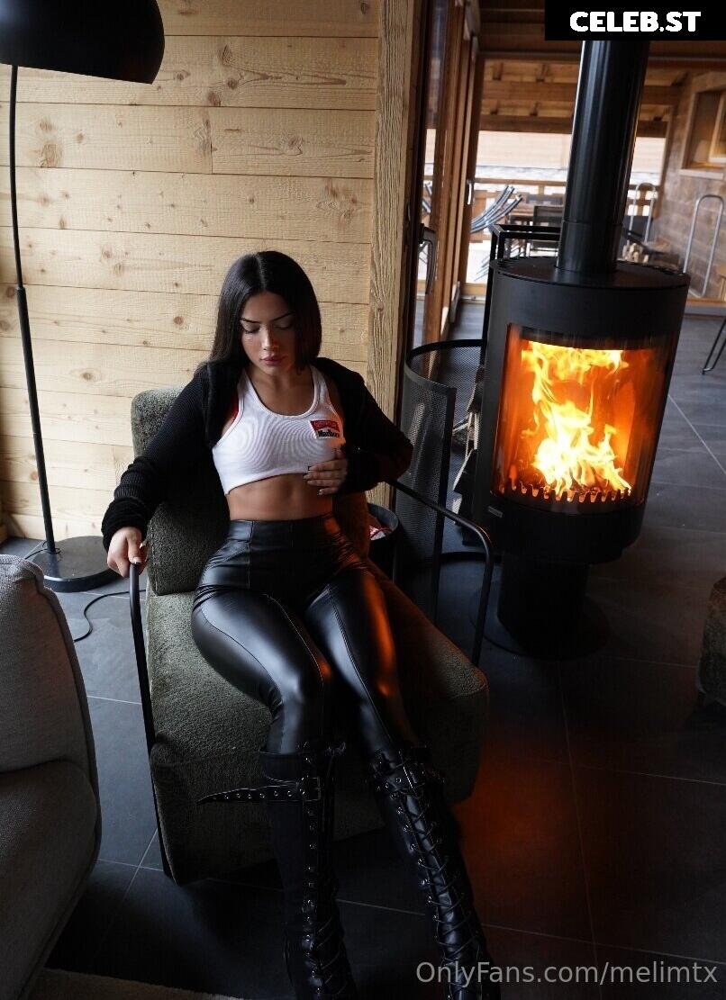 MelimTX Image 5320309