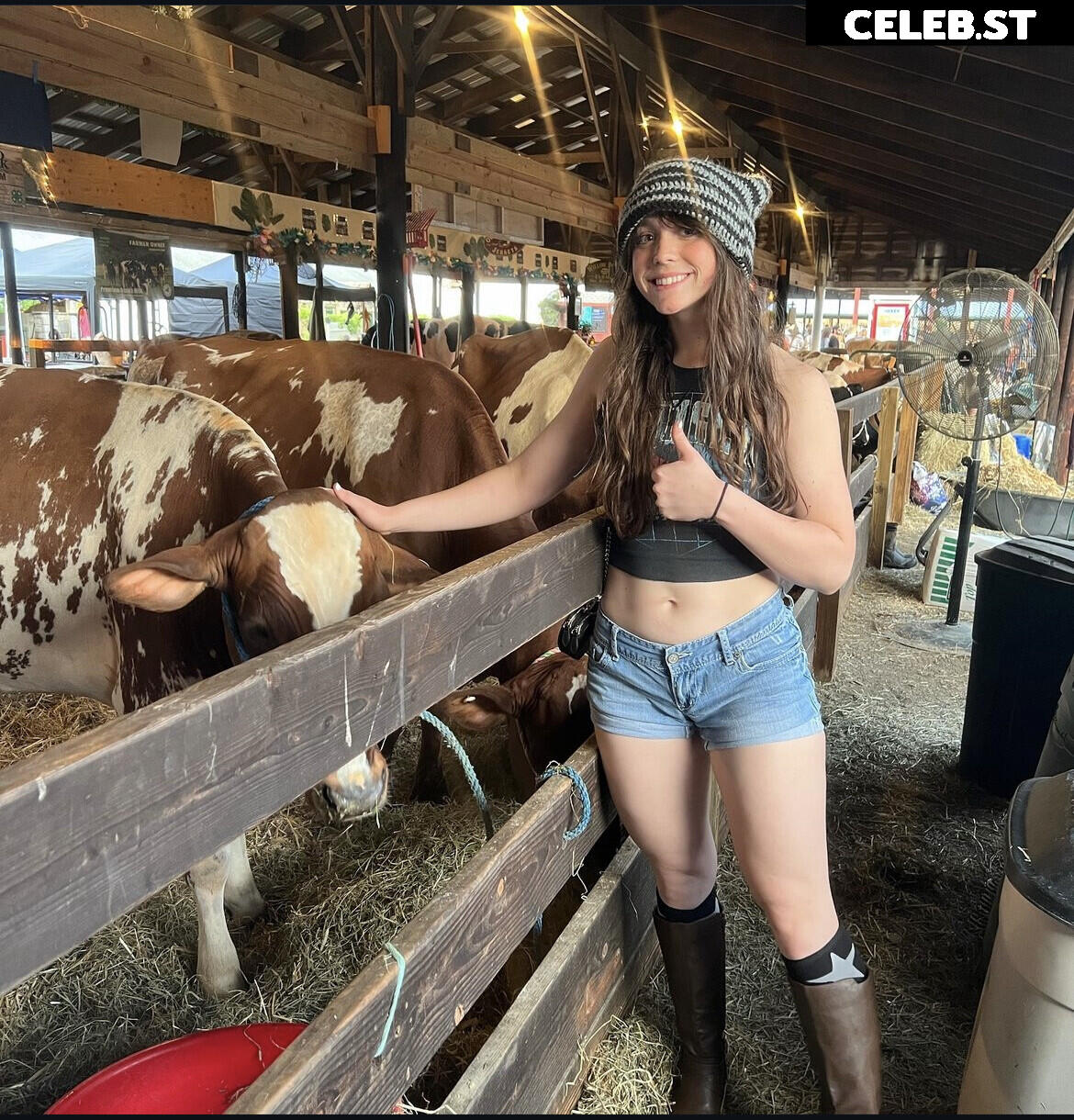 Sophiazipay Image 5317190