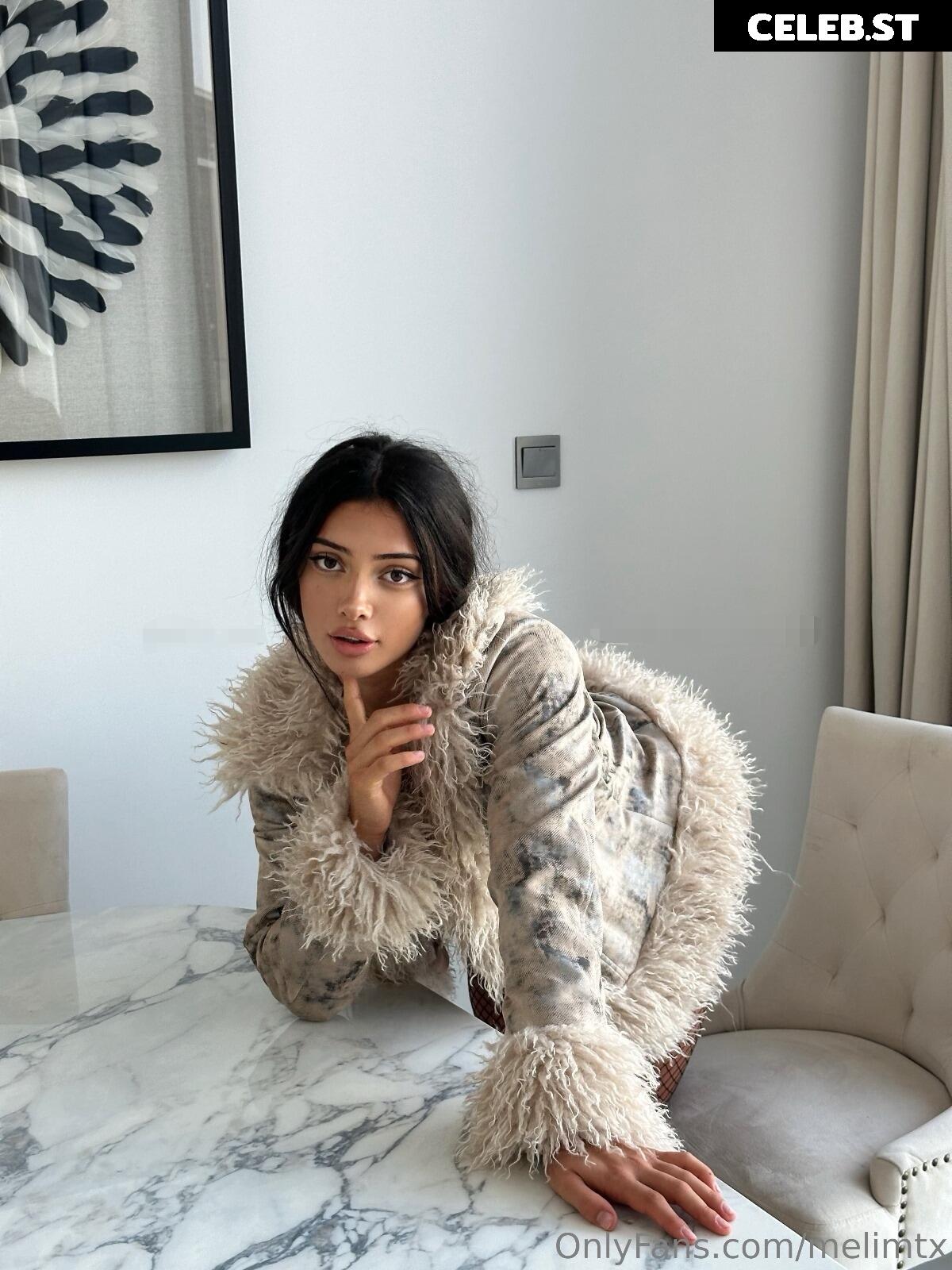 MelimTX Image 5319724