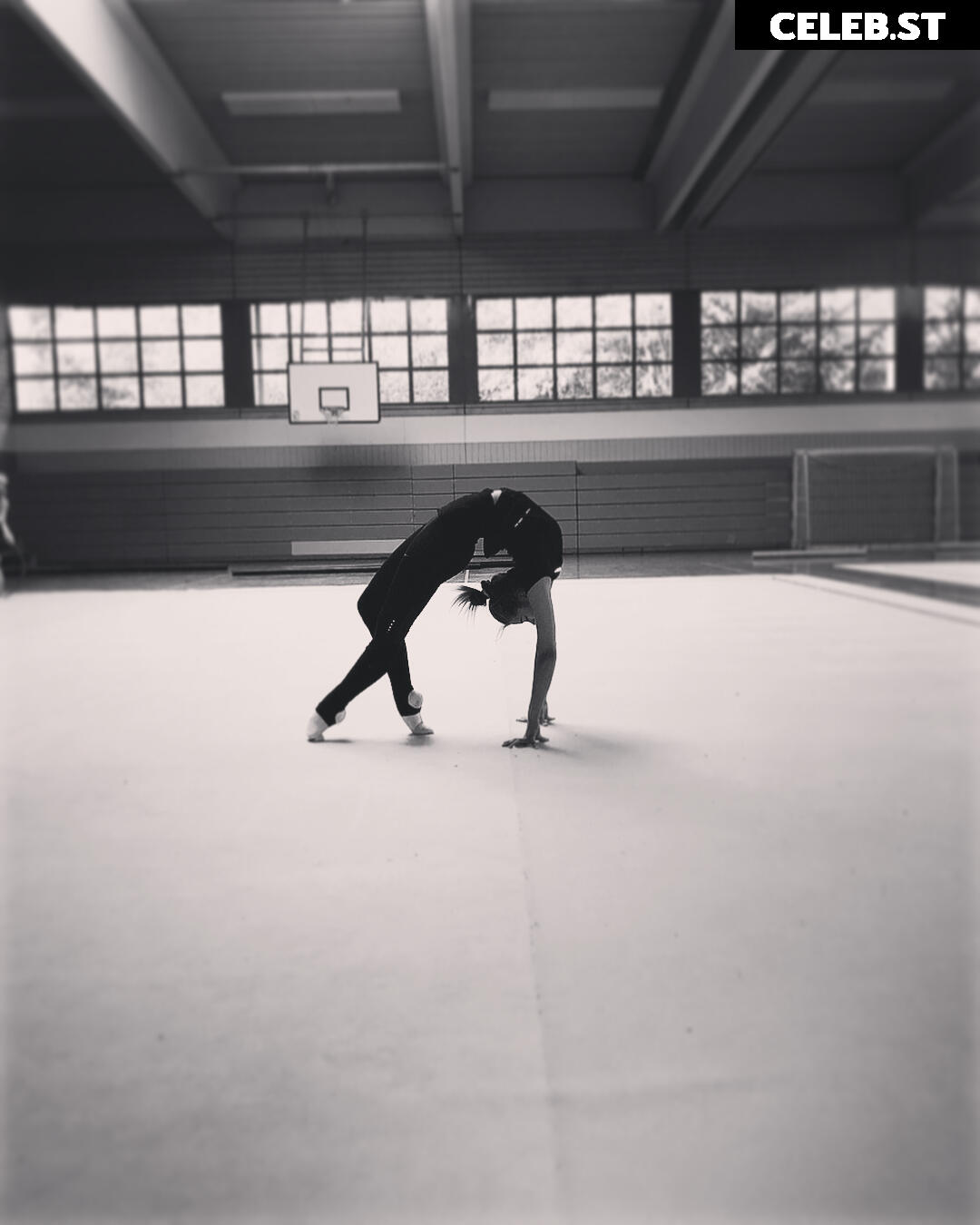 Stinalex Image 585674