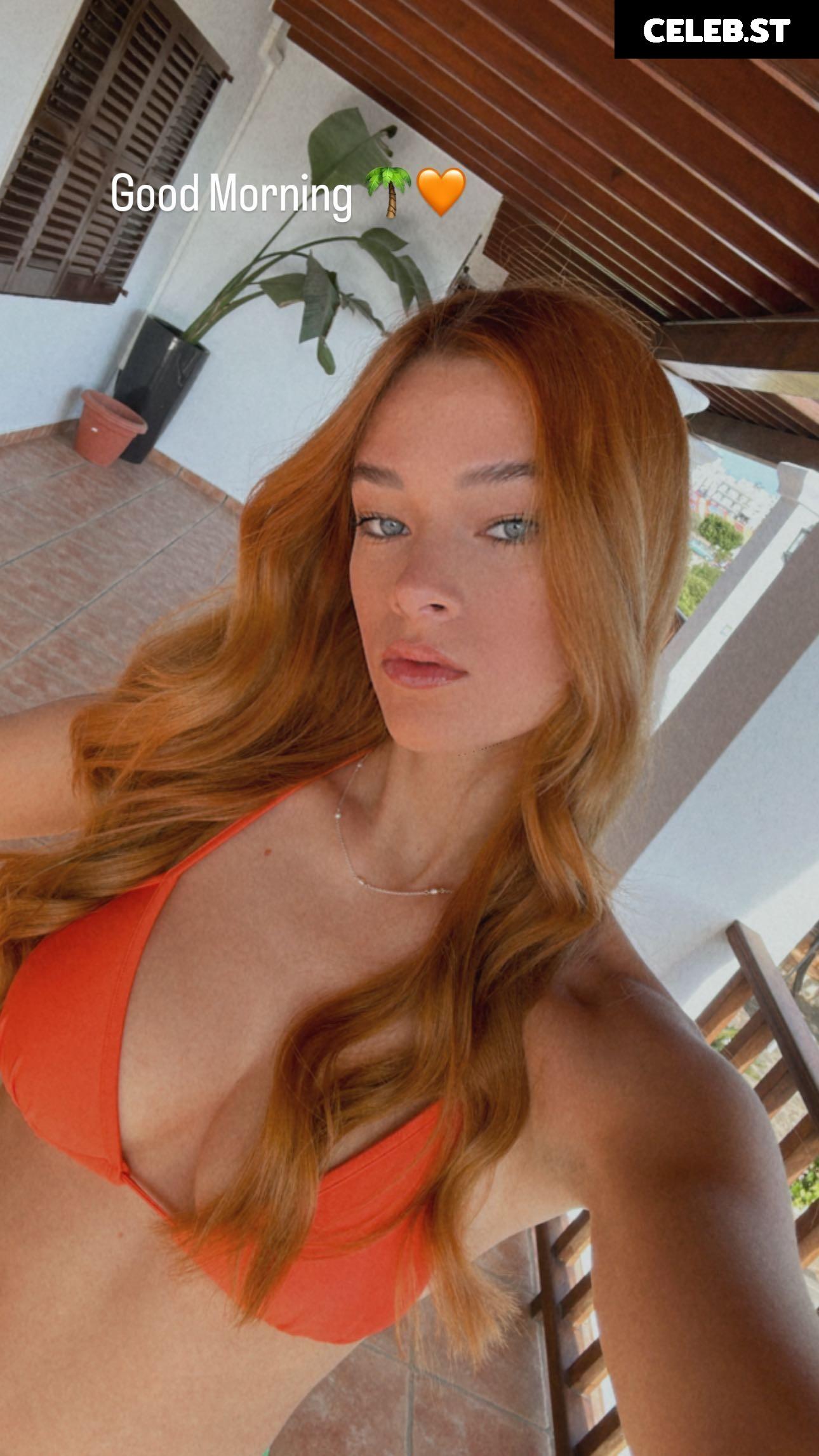 Stinalex Image 584885