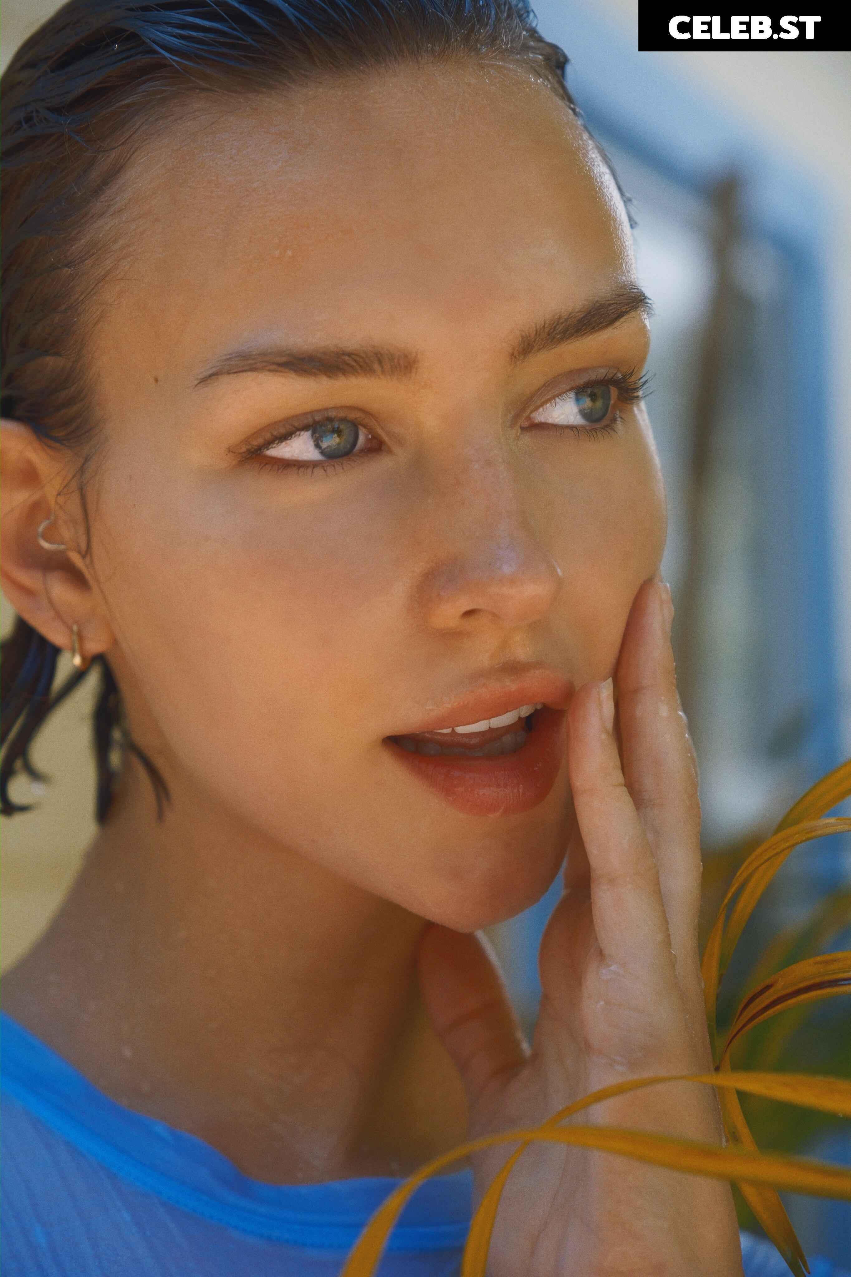Rachel Cook Image 583390