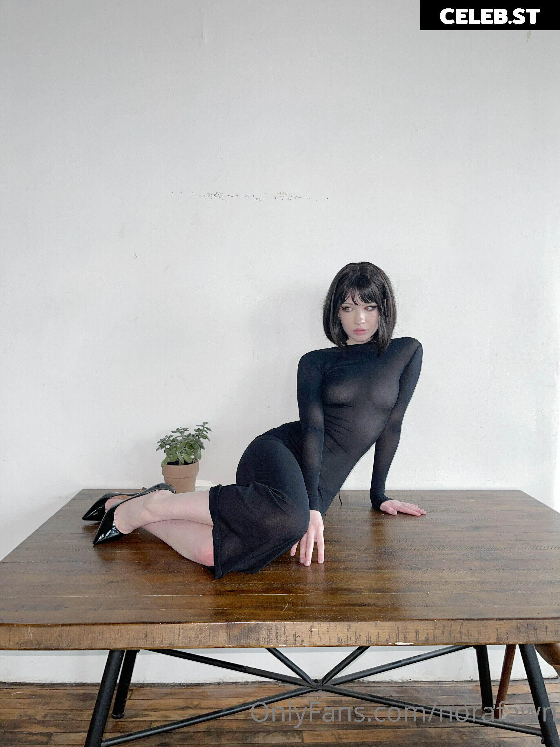 Nora Fawn Image 597270