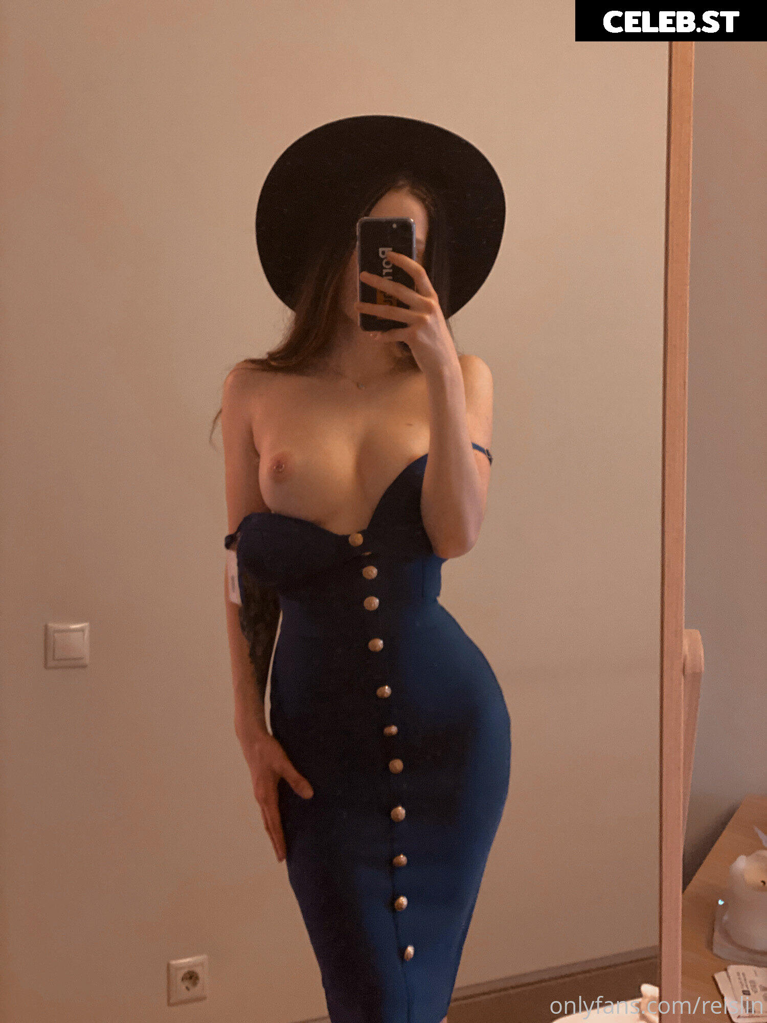 Reislin Image 596584