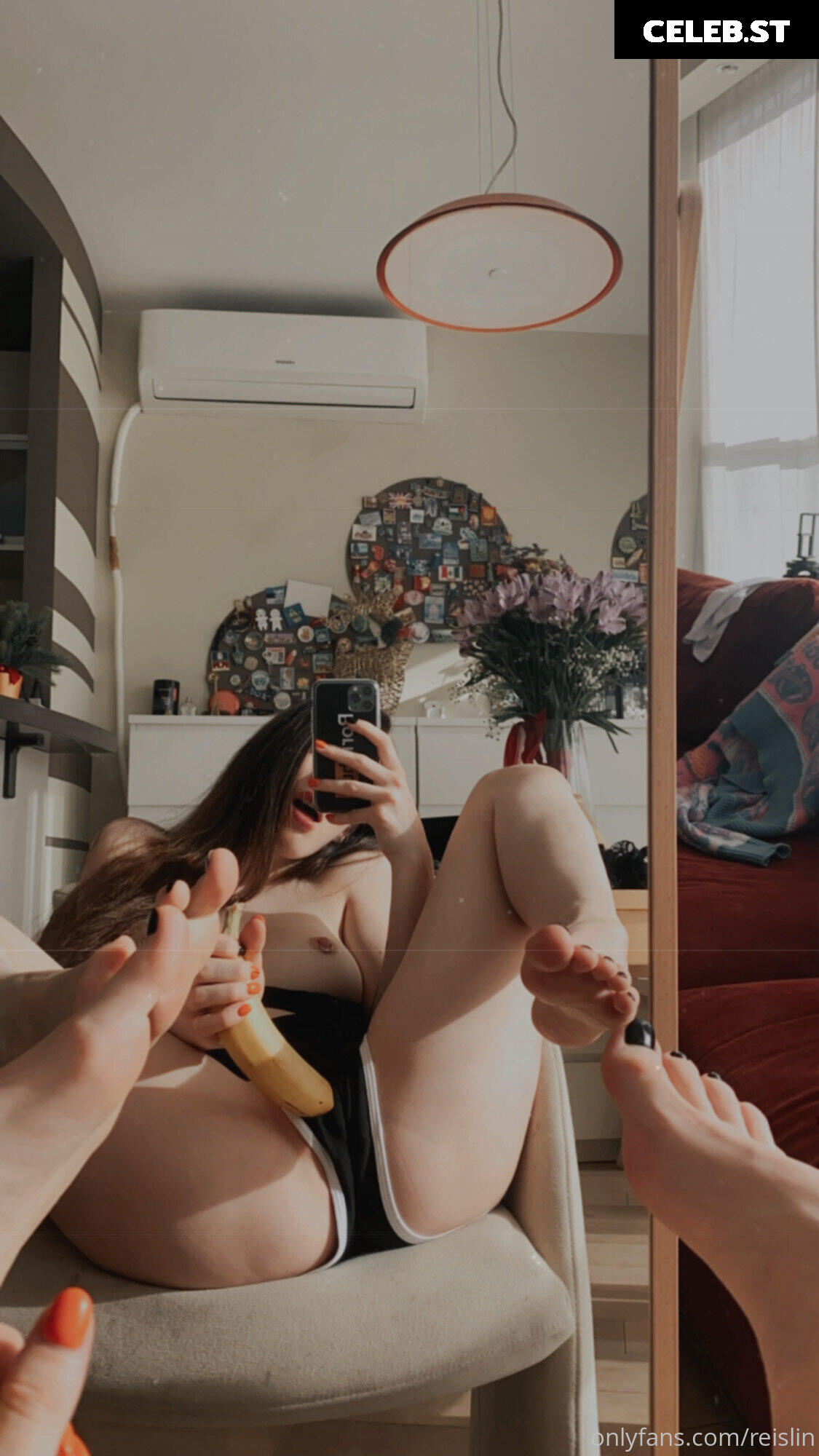 Reislin Image 594352