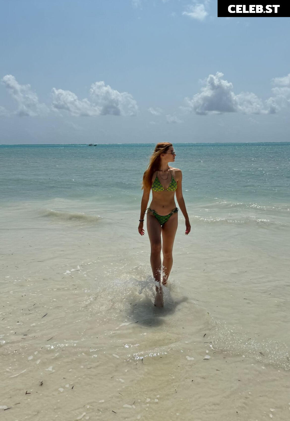 Stinalex Image 591131