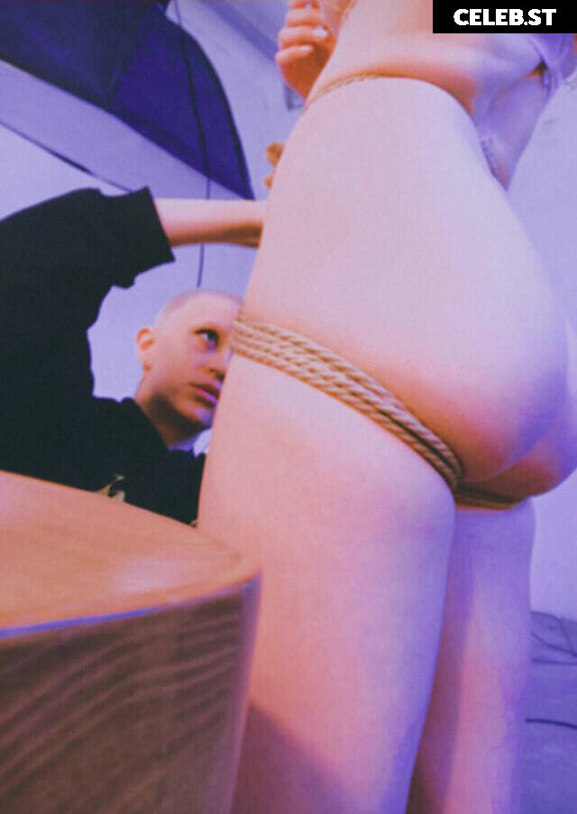 kari Pitinova / tikivulpes / Vulpes Image 5449266