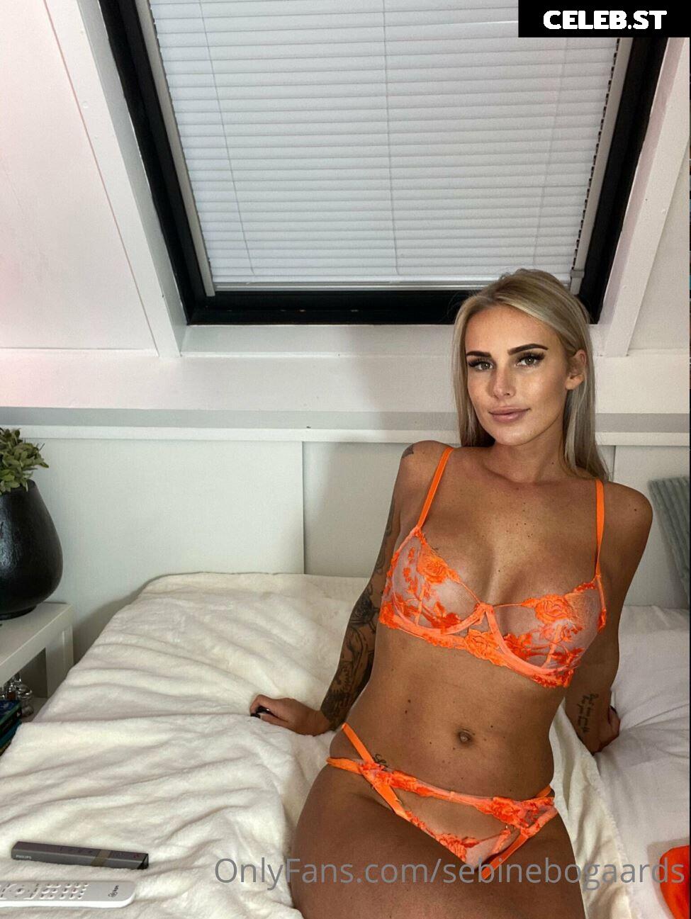 Sebine Bogaards / sebinebogaards Image 5429607