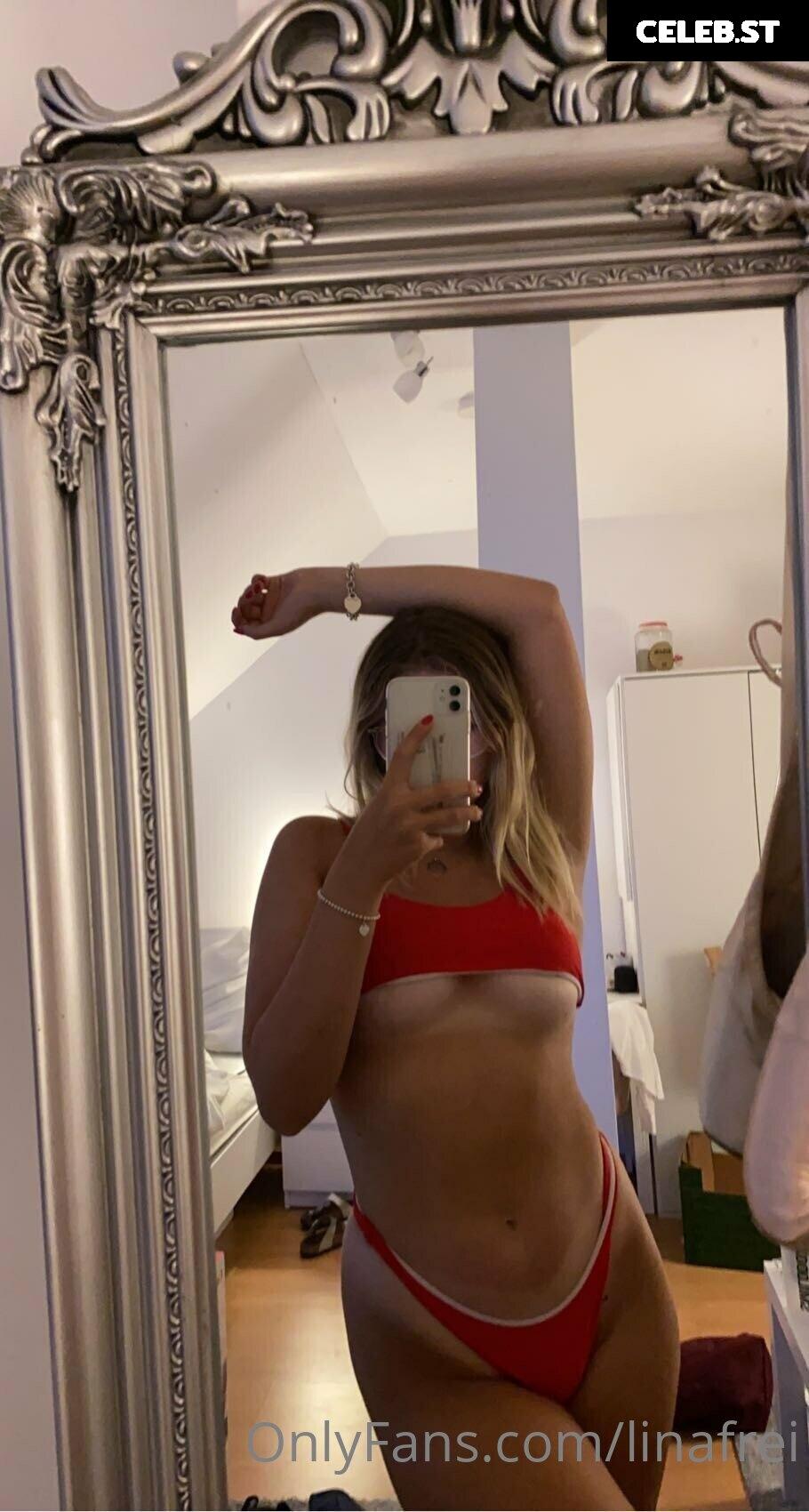 Merlehu1 Image 540966