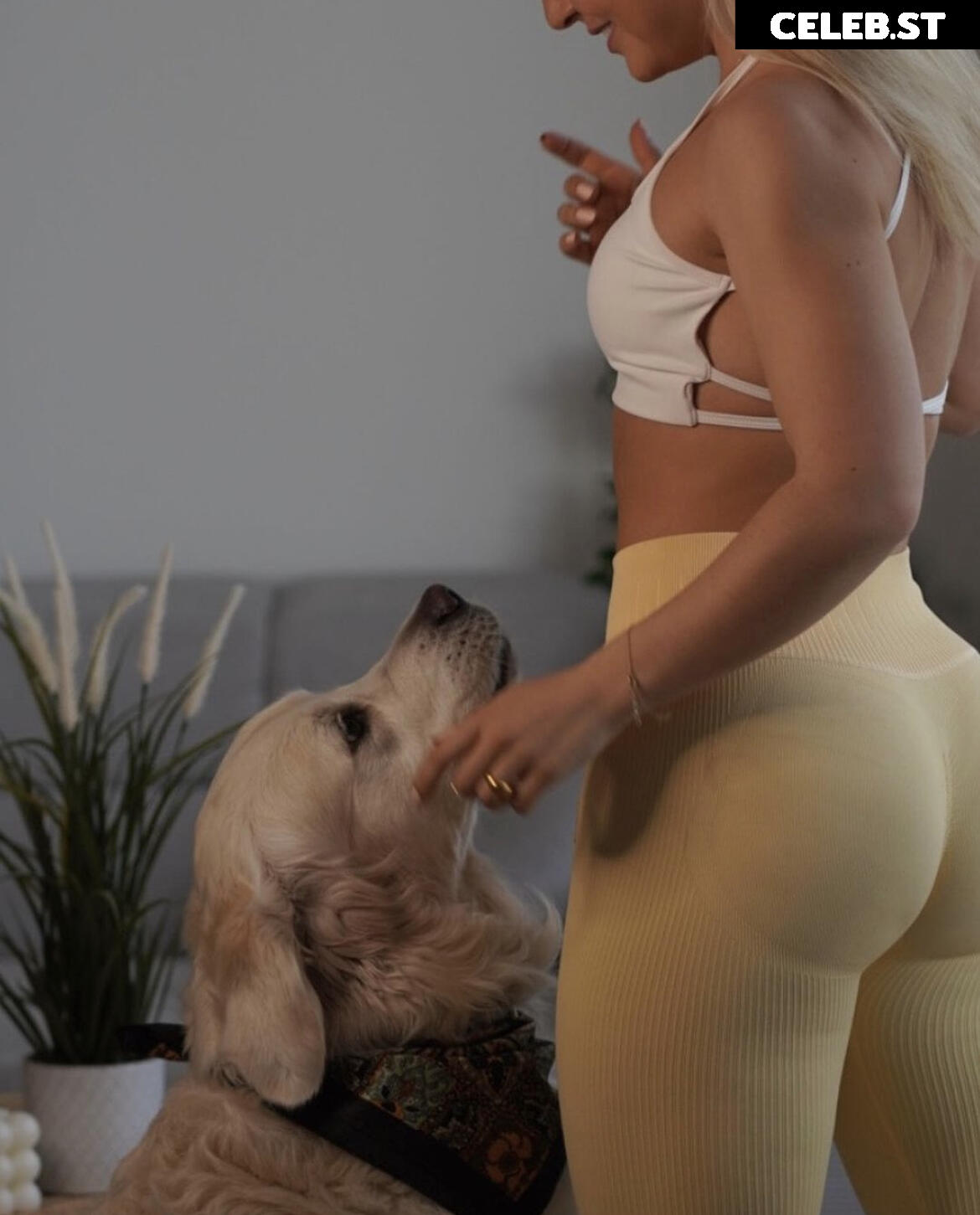 Joana Link Image 553446