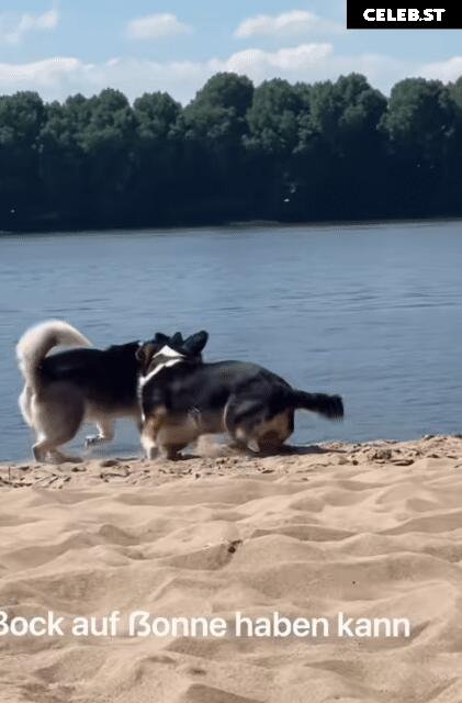 Phia Quantius Image 550294