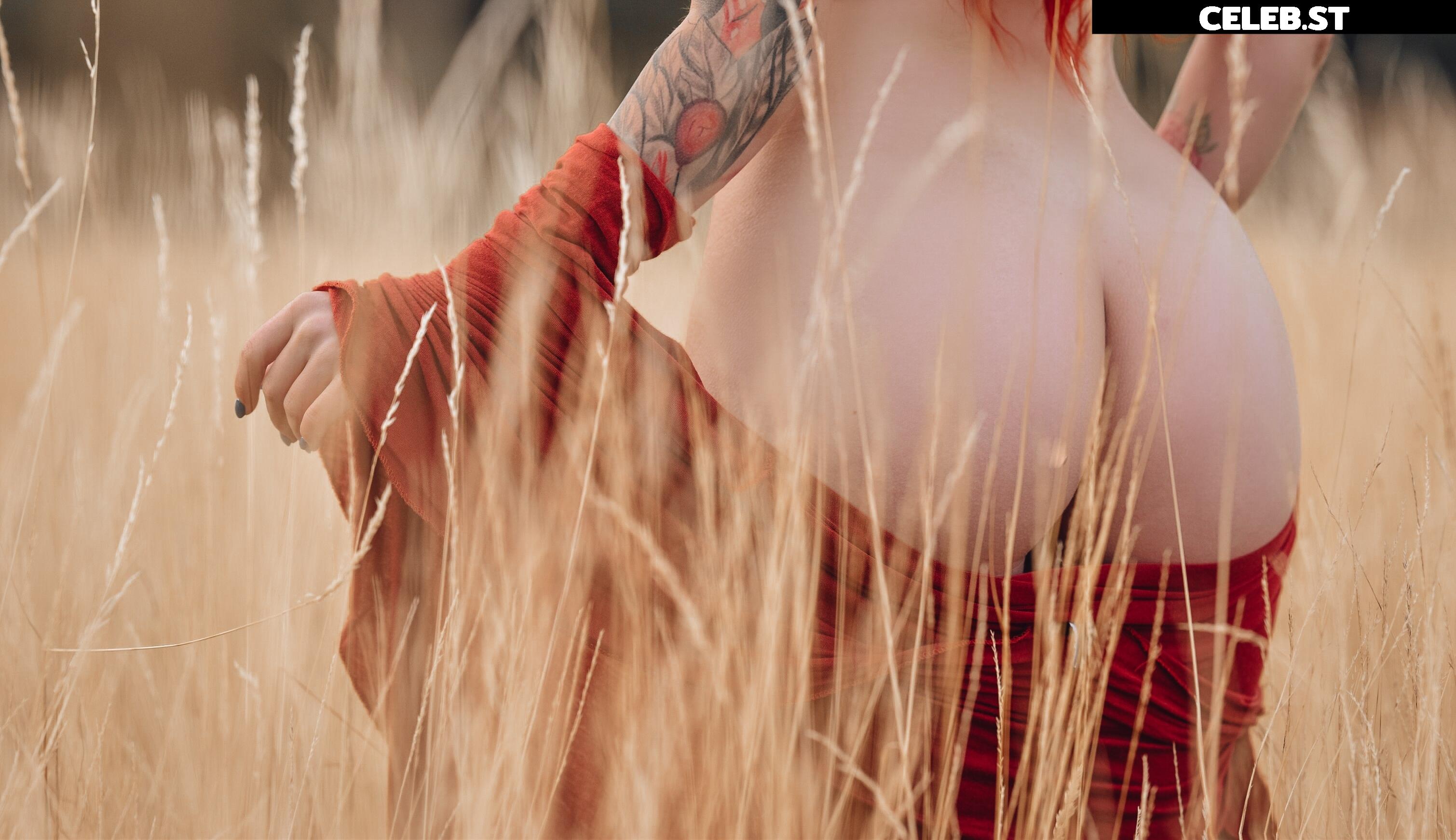 Linspics Image 562240