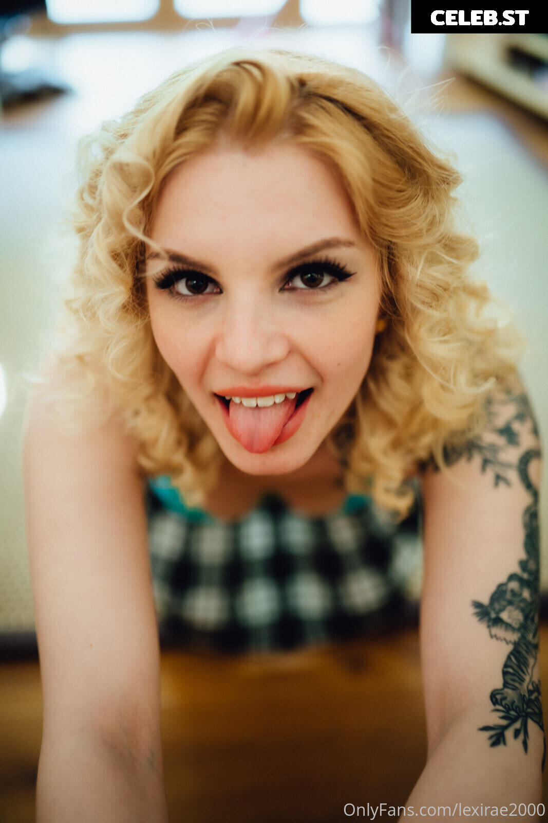 Lexilicious Image 505288