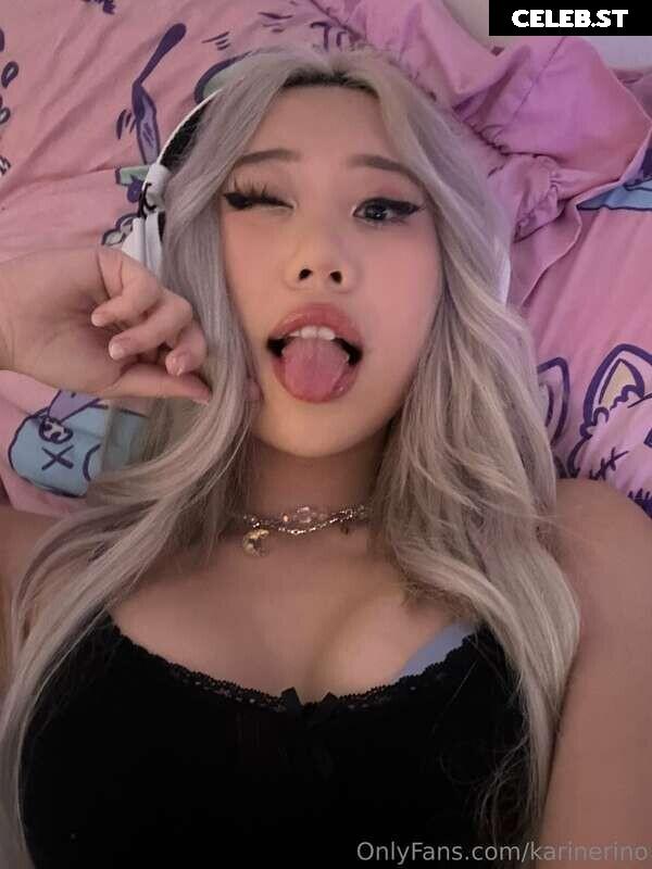 Karinerino Image 5030146