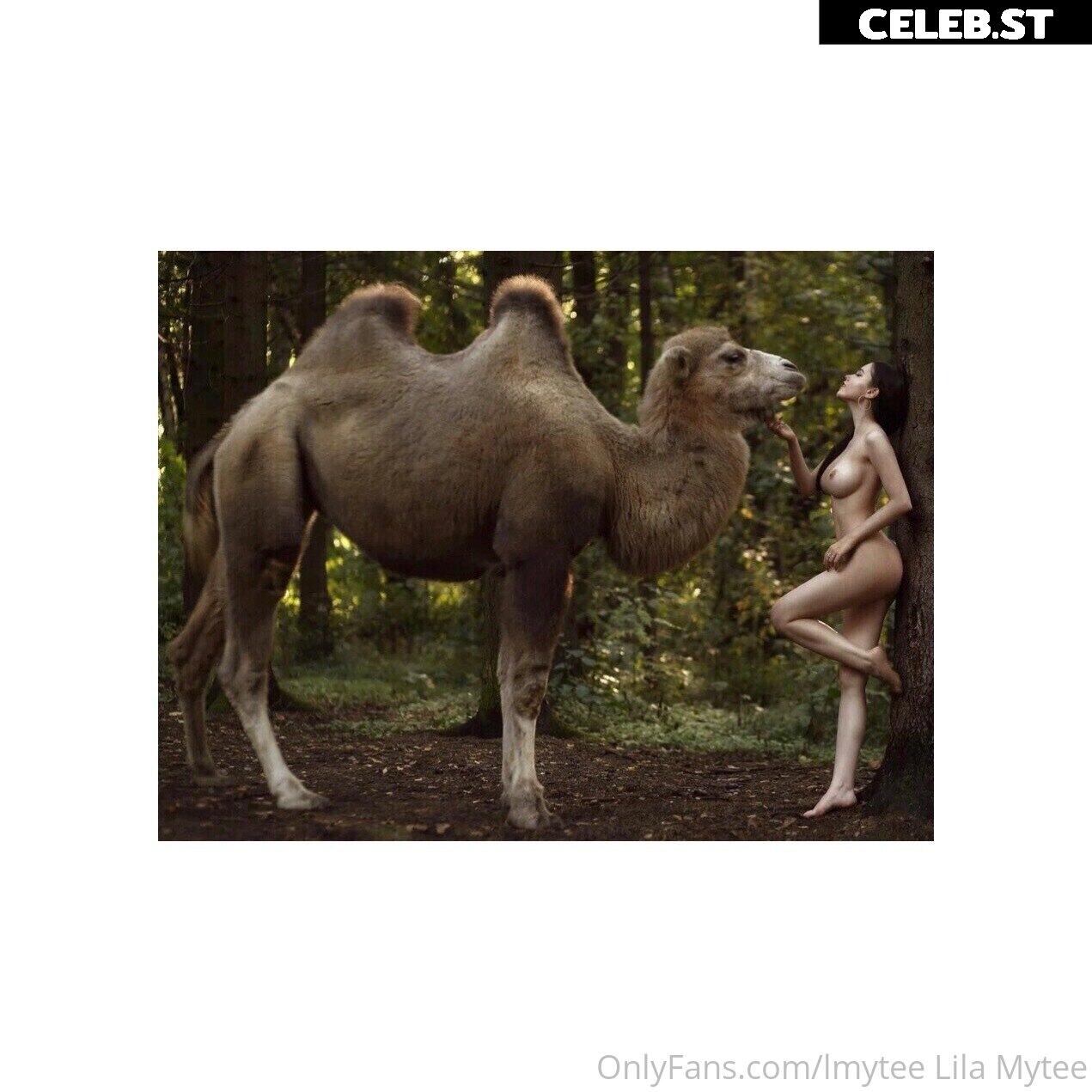 lmytee / lilamytee / lilamytee1 / lilamytee1_ / Lila Mytee Image 5022118