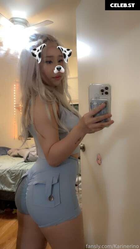 Karinerino Image 5029873