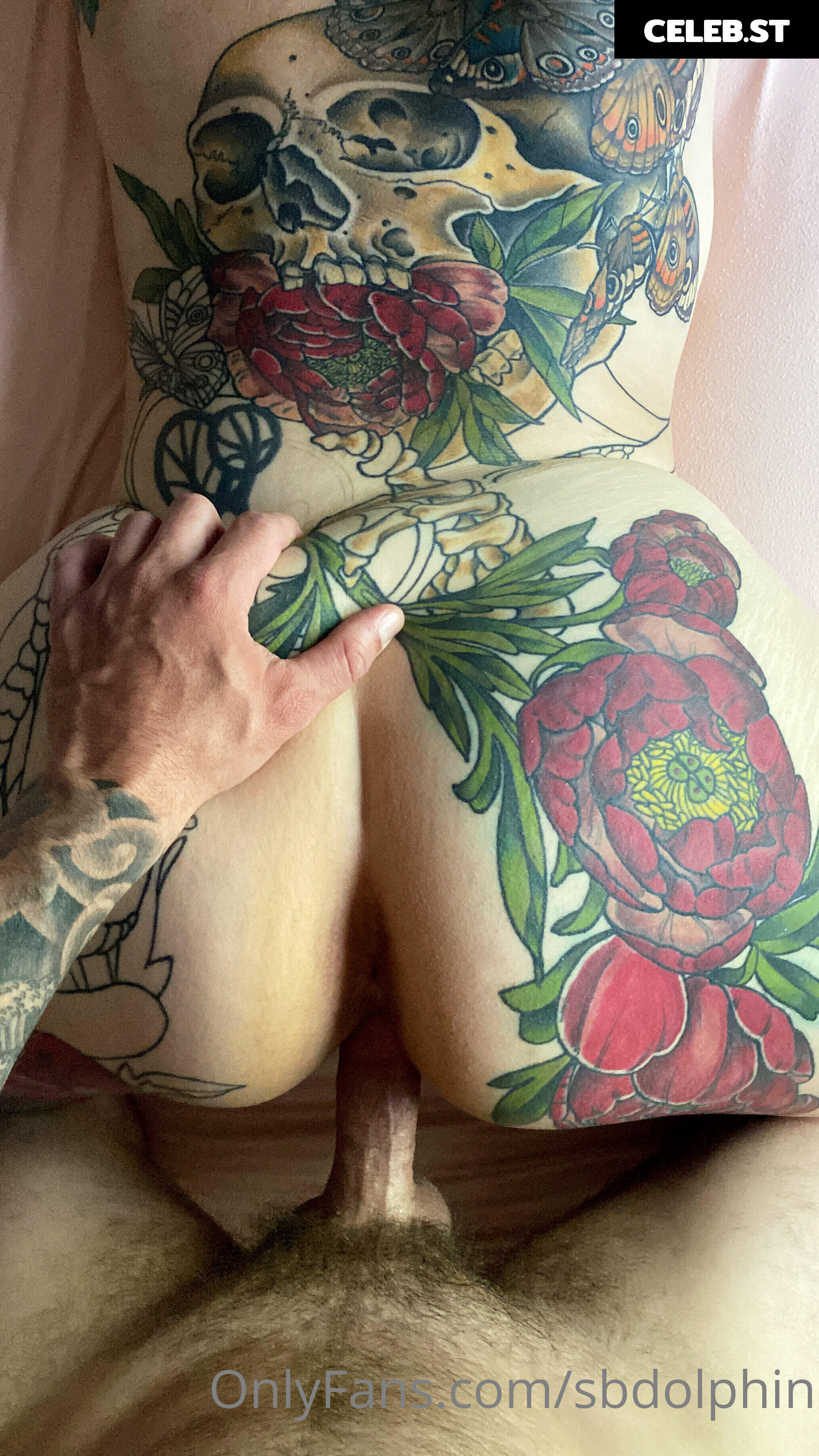 Bunny Barnett / thedolphingirl Image 419491