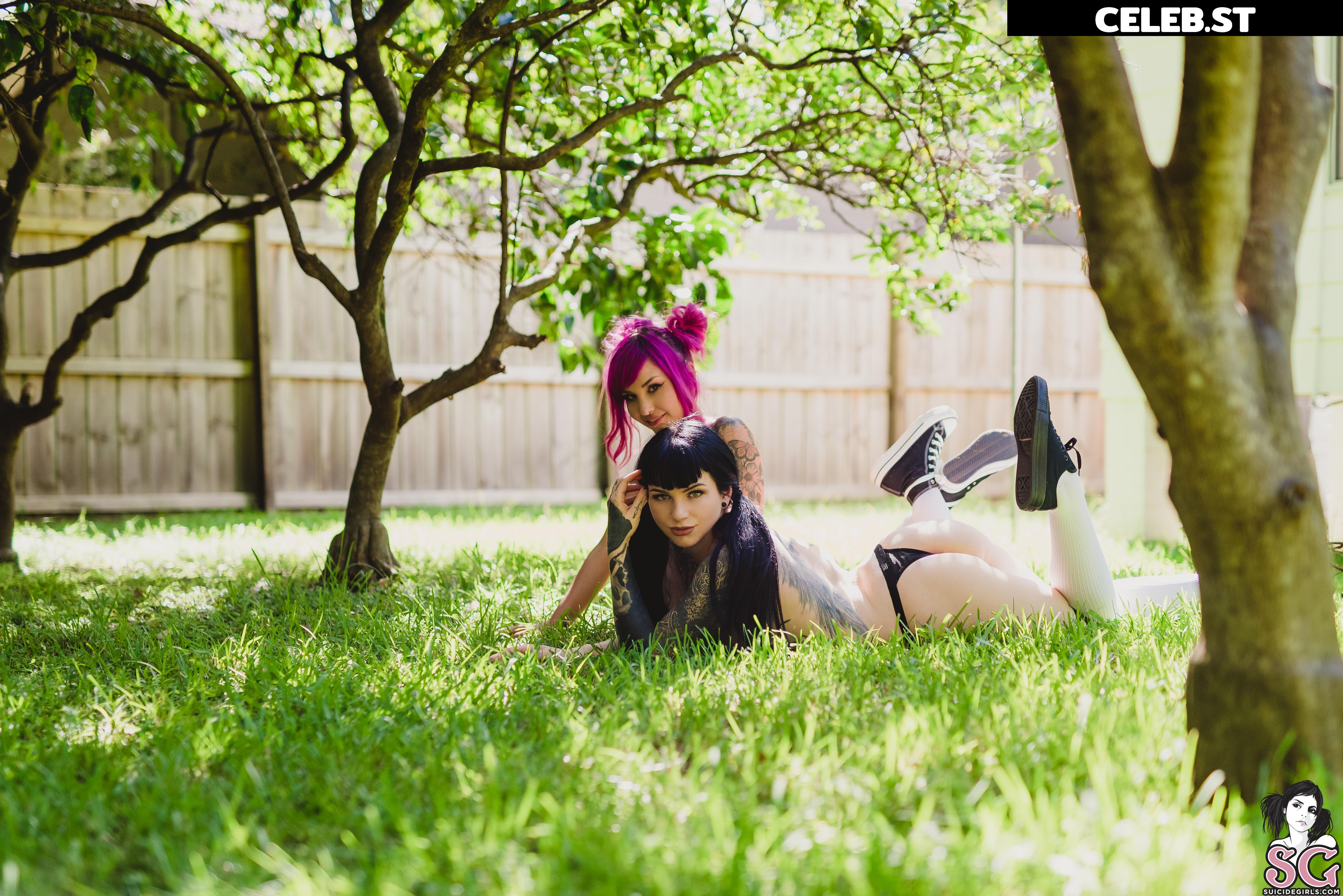 arachnie Image 4181440