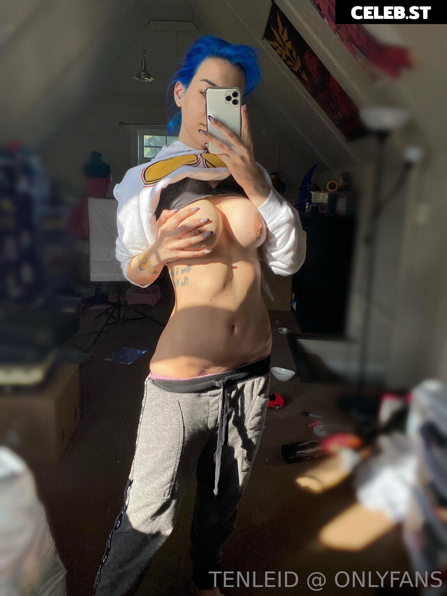 Tenleid Image 417087