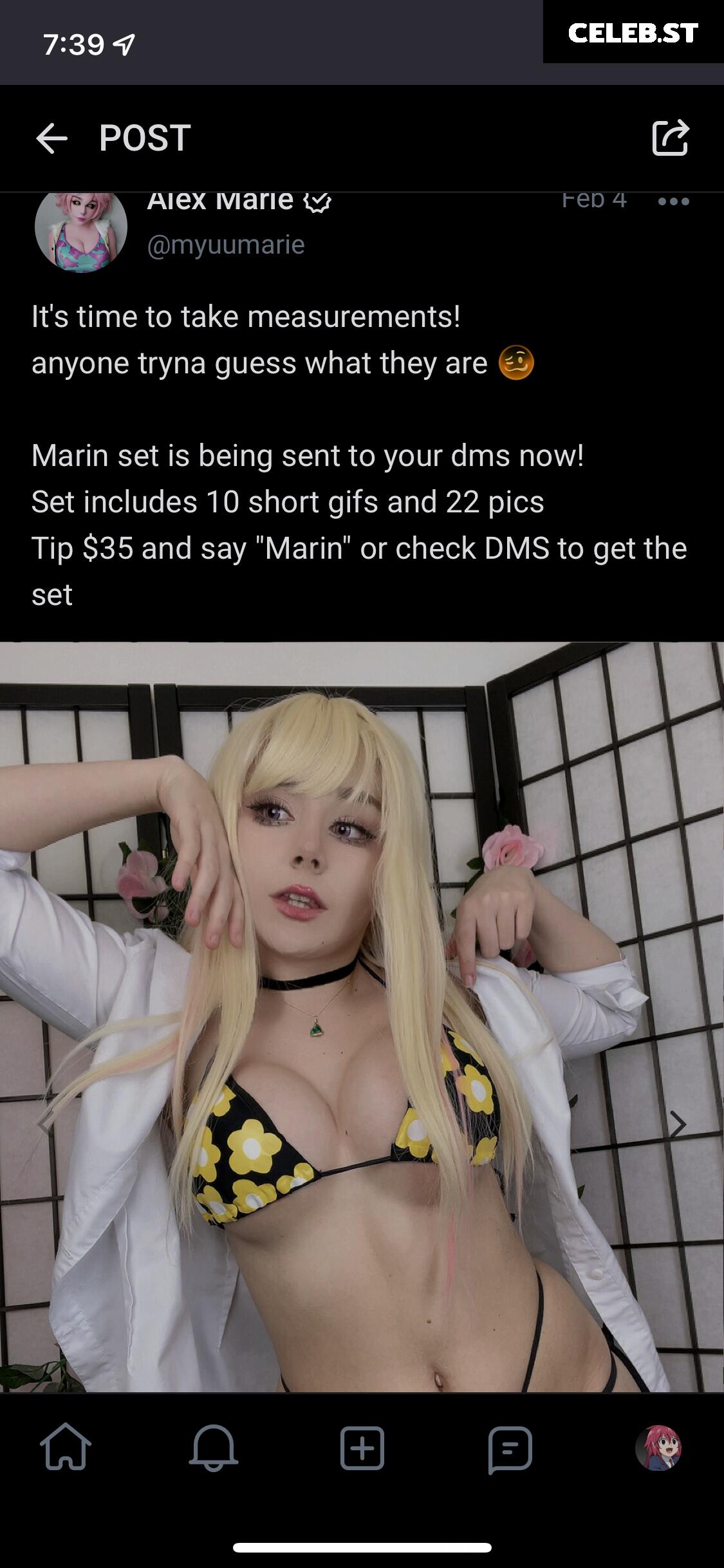 Myuumarie/ Pockythief Image 4170751