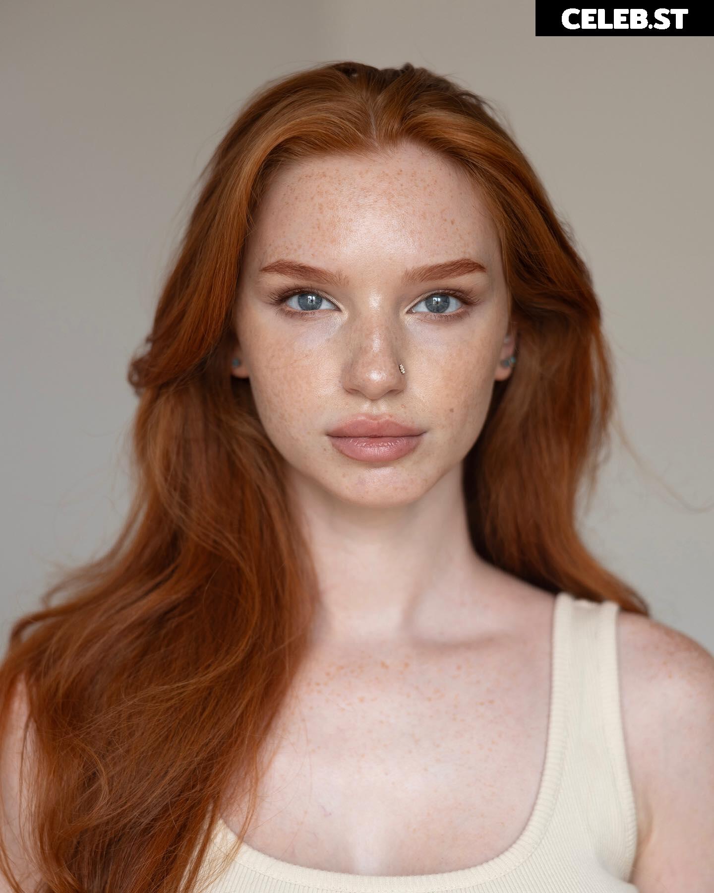 Myfoxyland Image 4167848