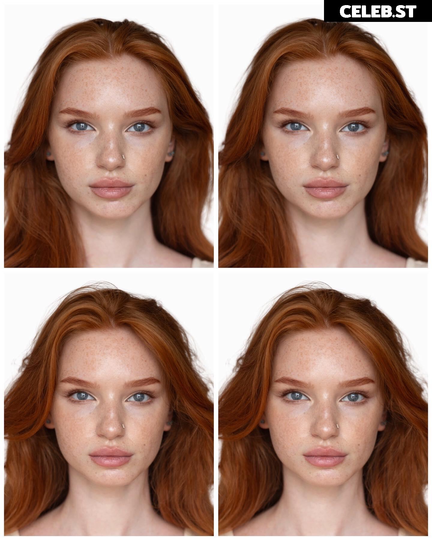 Myfoxyland Image 4167752