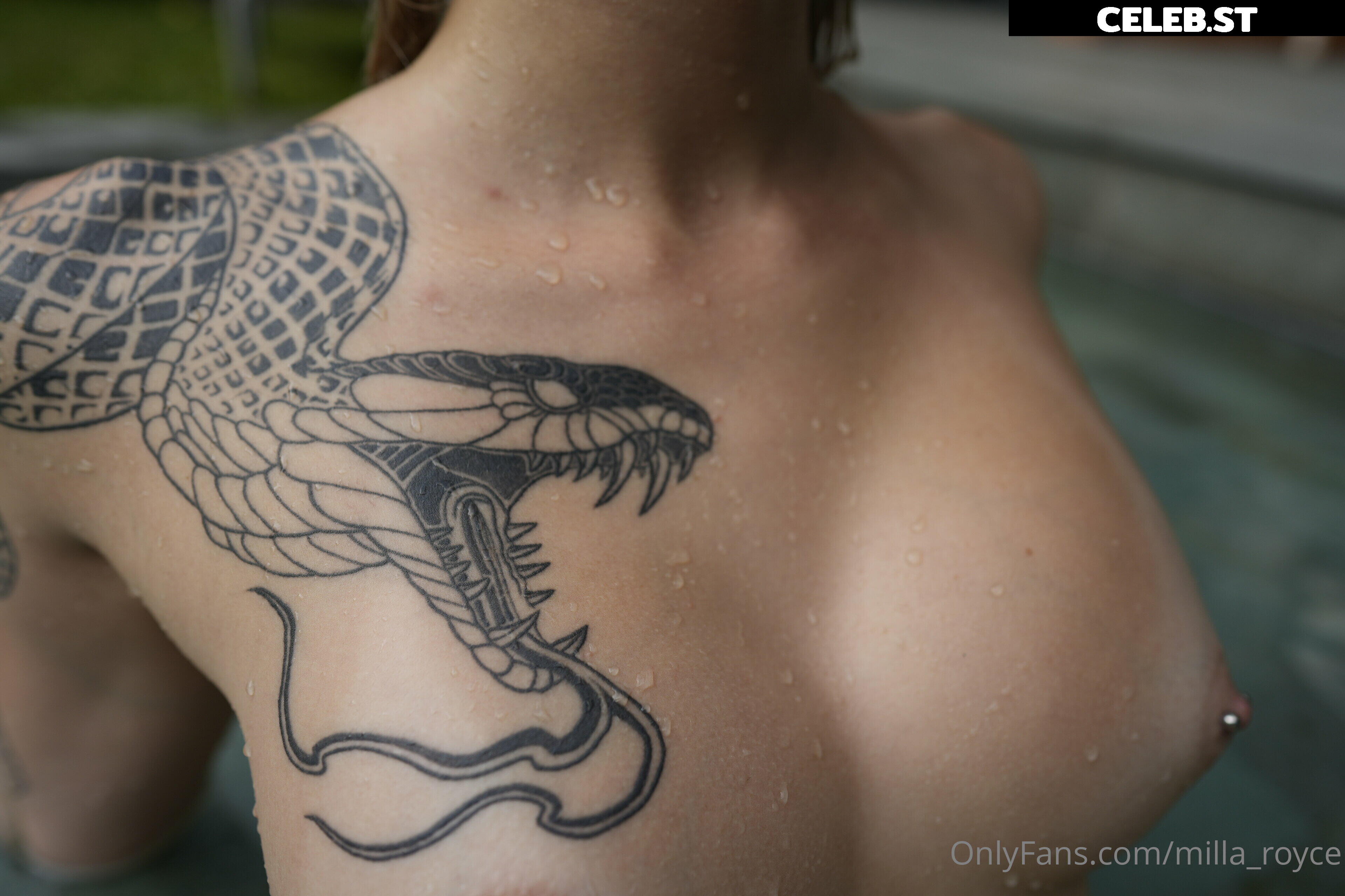 Milla Royce / Persifnut Image 4169437