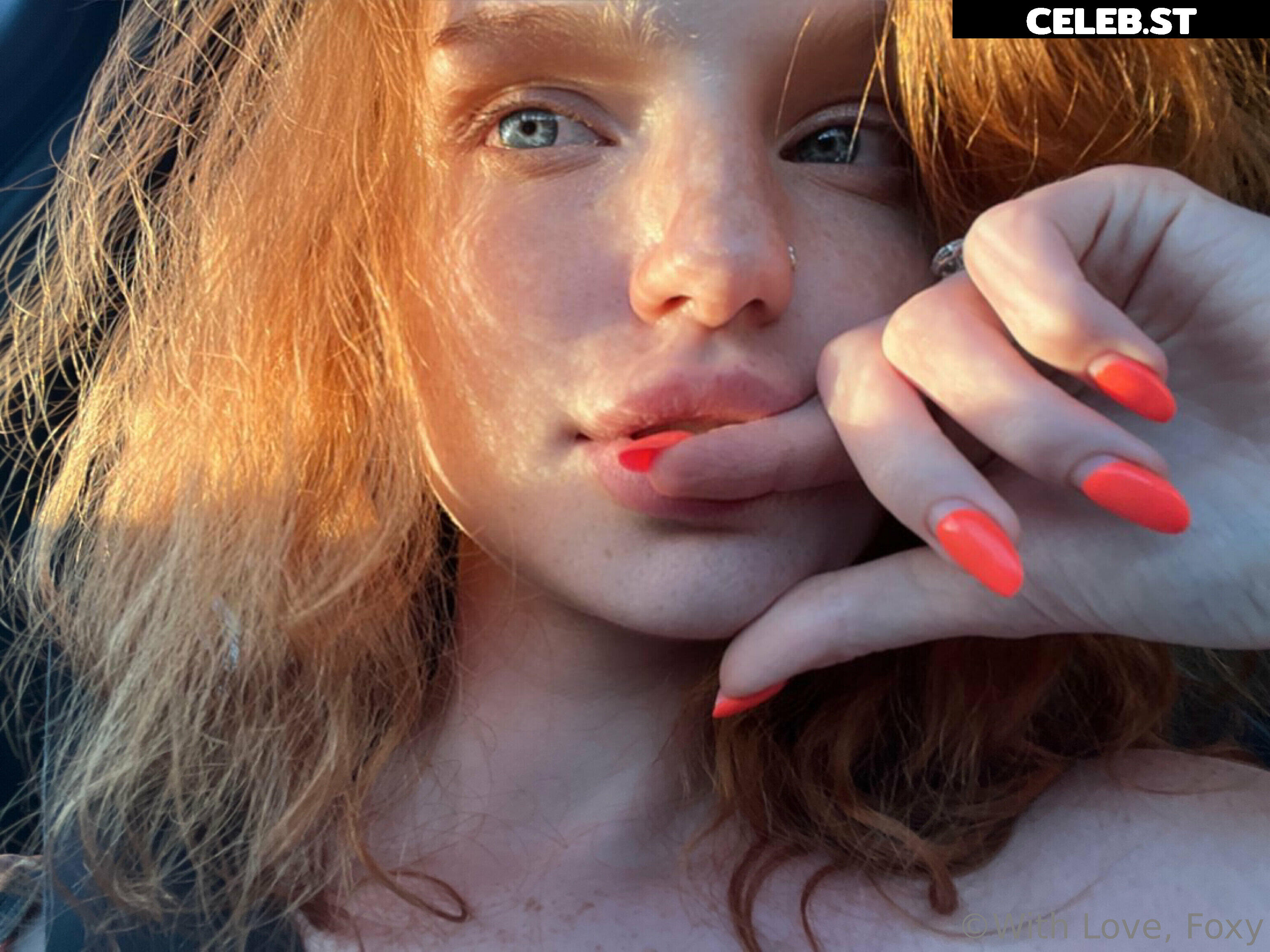 Myfoxyland Image 4168139