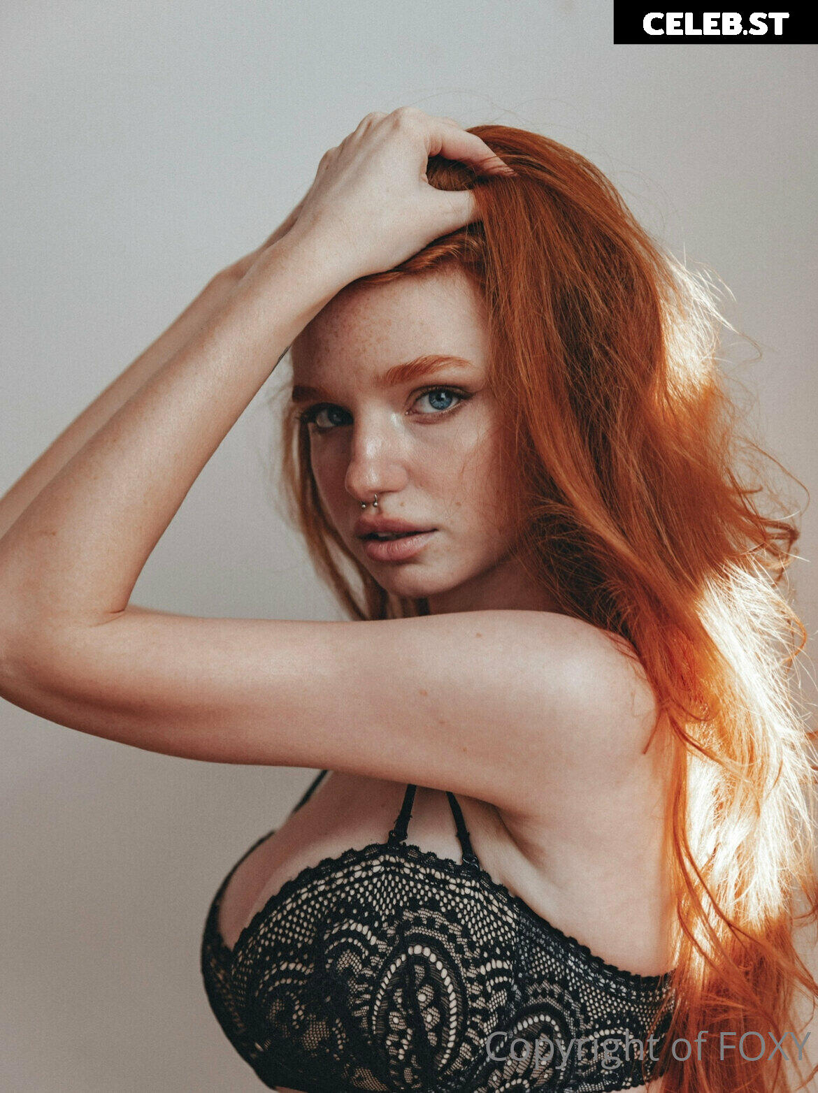 Myfoxyland Image 4154276